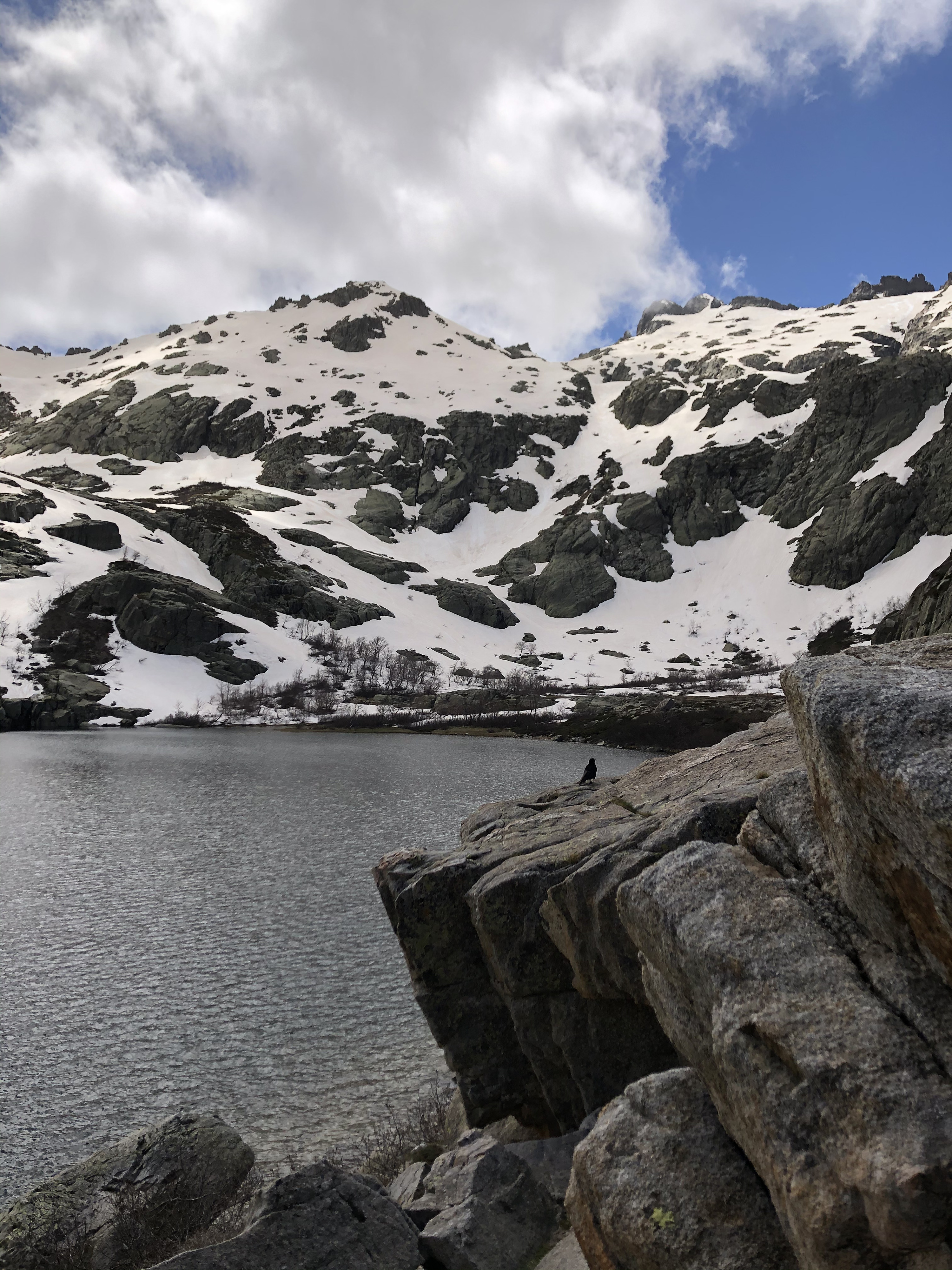 รูปถ่าย ฝรั่งเศส(France) คอร์สิคา(Corsica) ทะเลสาบเมโลและกาปีเตลโล(Lac de Melo et Capitello) 2021-06 264