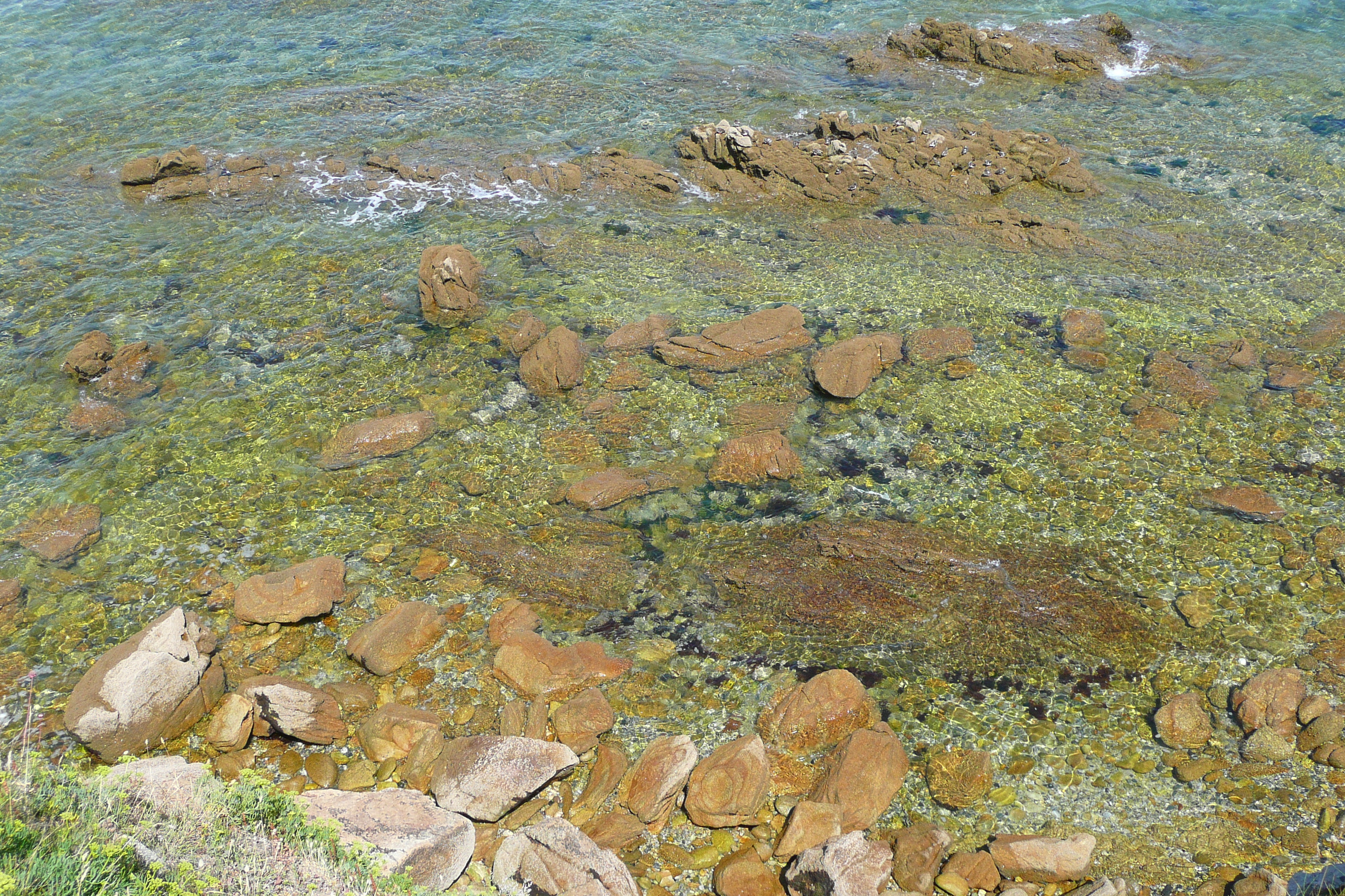 รูปถ่าย ฝรั่งเศส(France) คาบสมุทรกีเบอรง(Quiberon peninsula) แหลมแปร์โช(Pointe du Percho) 2008-07 12