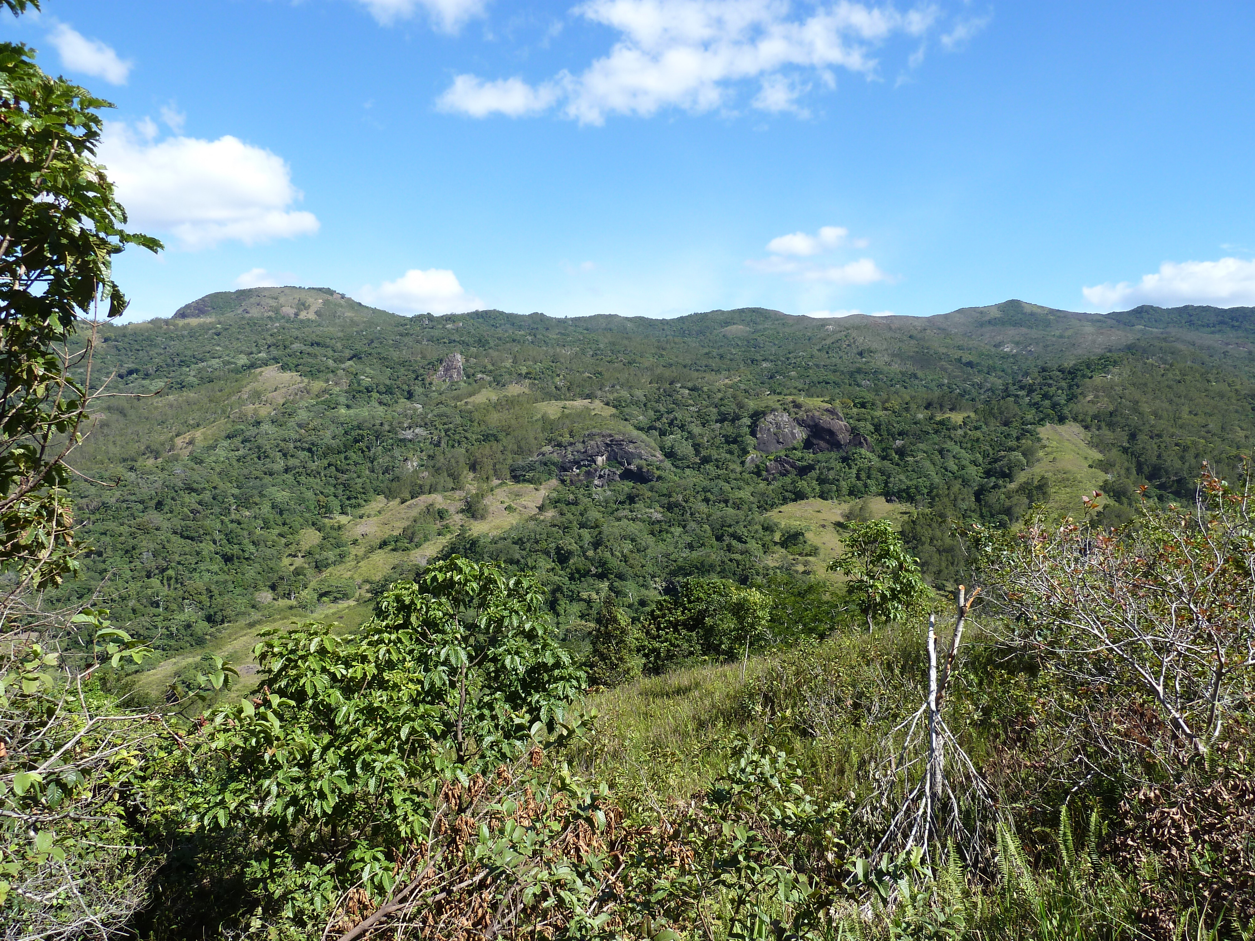 รูปถ่าย นิวแคลิโดเนีย(New Caledonia) ถนนจากทีโอไปกานาลา(Thio to Canala road) 2010-05 52