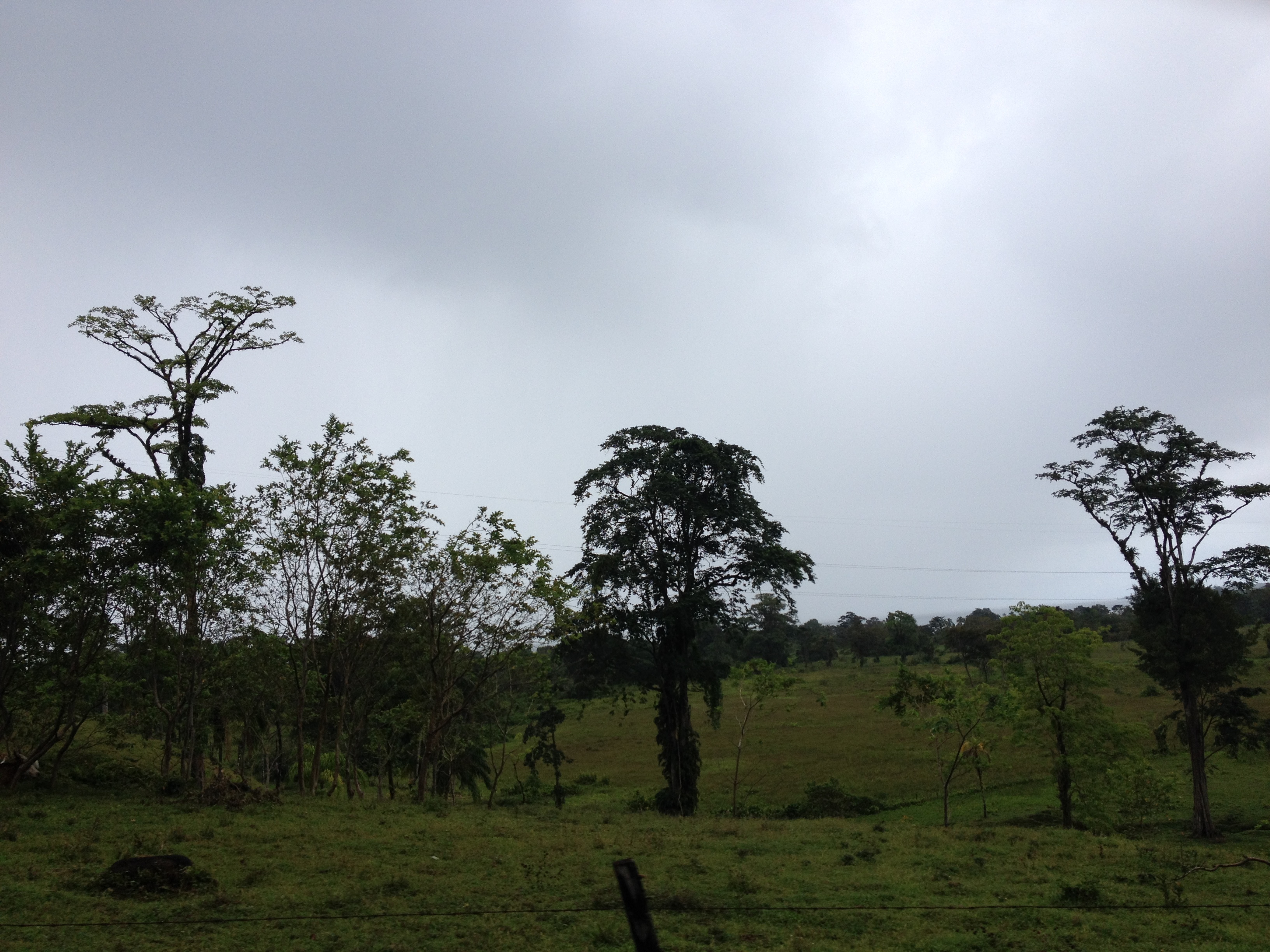 รูปถ่าย ปานามา(Panama) จากดาบิดไปโบกัสเดลโตโร(David to Bocas del toro) 2015-03 43
