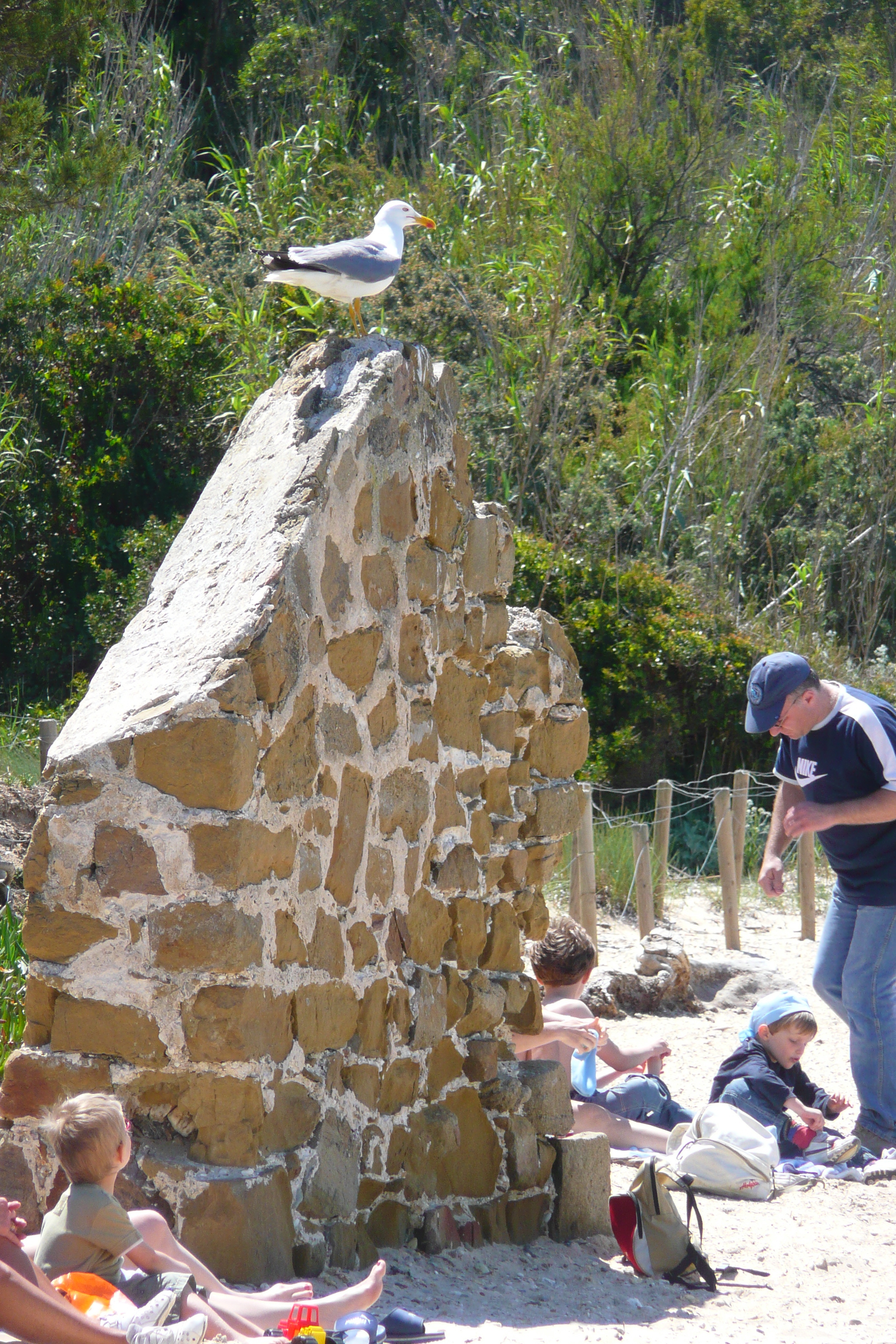 รูปถ่าย ฝรั่งเศส(France) เกาะปอร์เกอรอล(Porquerolles Island) หาดกูร์ตาด(Courtade beach) 2008-05 43