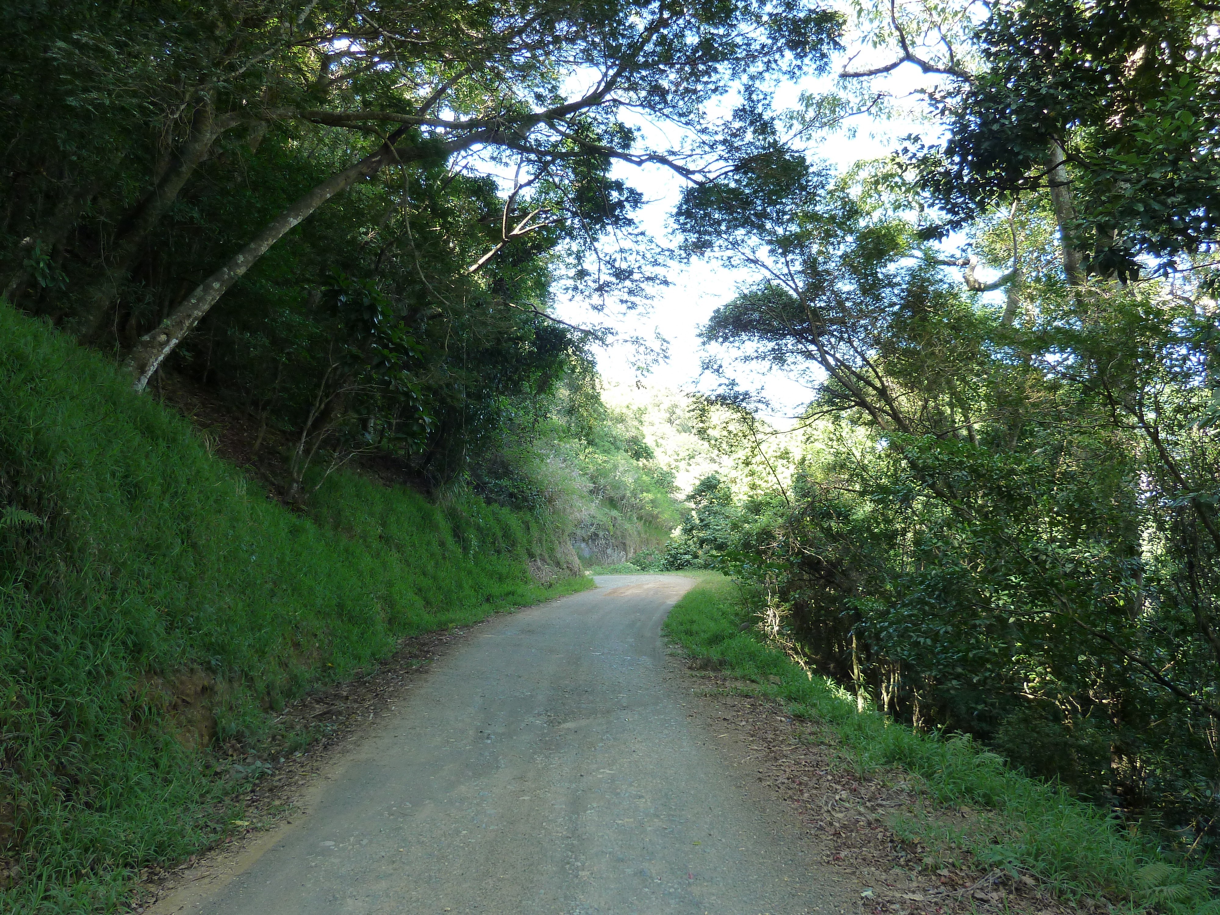 รูปถ่าย นิวแคลิโดเนีย(New Caledonia) ถนนจากทีโอไปกานาลา(Thio to Canala road) 2010-05 54