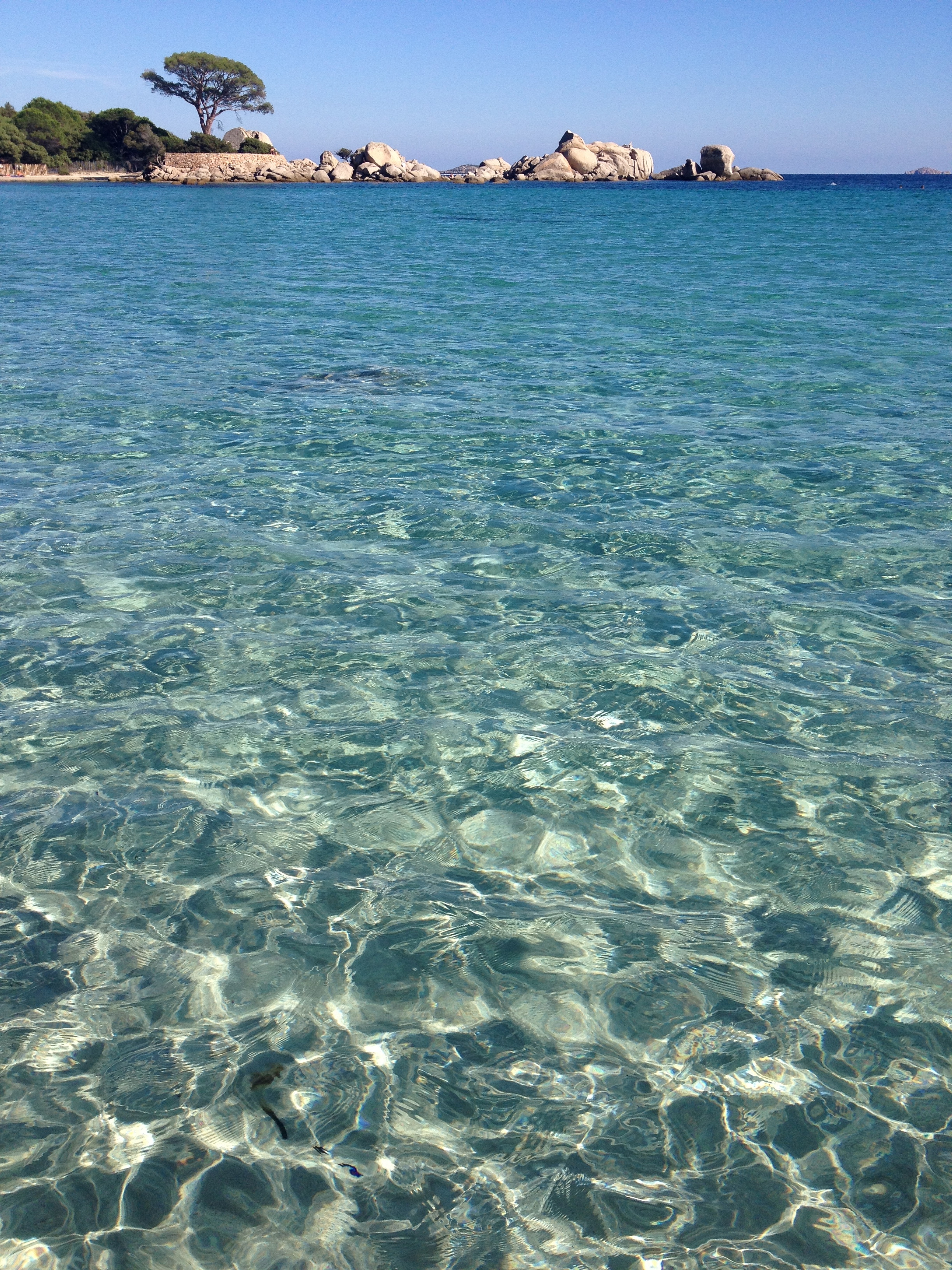 รูปถ่าย ฝรั่งเศส(France) คอร์สิคา(Corsica) ปาลอมบัจจา(Palombaggia) 2012-09 65