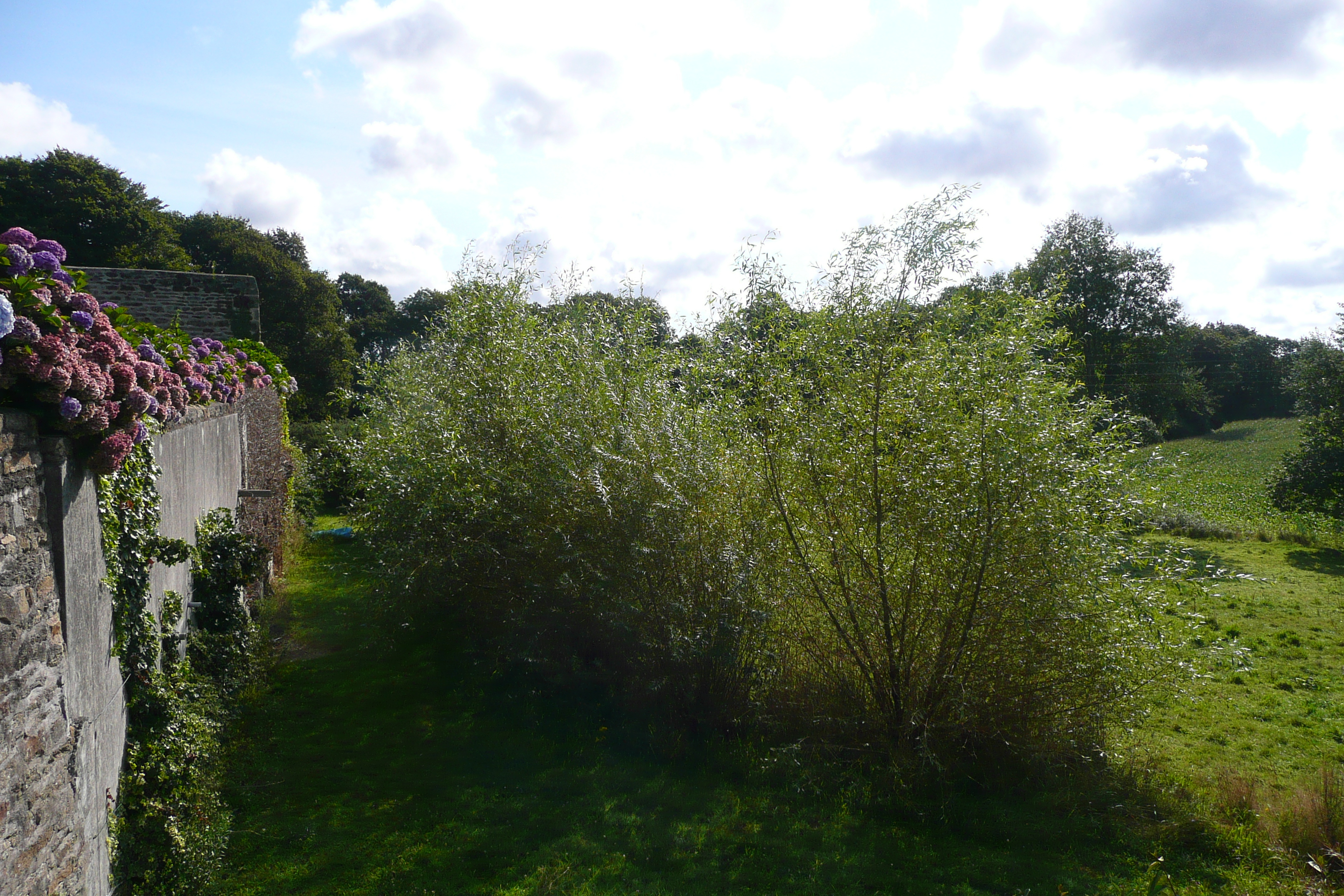 รูปถ่าย ฝรั่งเศส(France) โรงแรมคฤหาสน์แกร์อูแอล(Kerhuel Manor Hotel) 2008-07 27