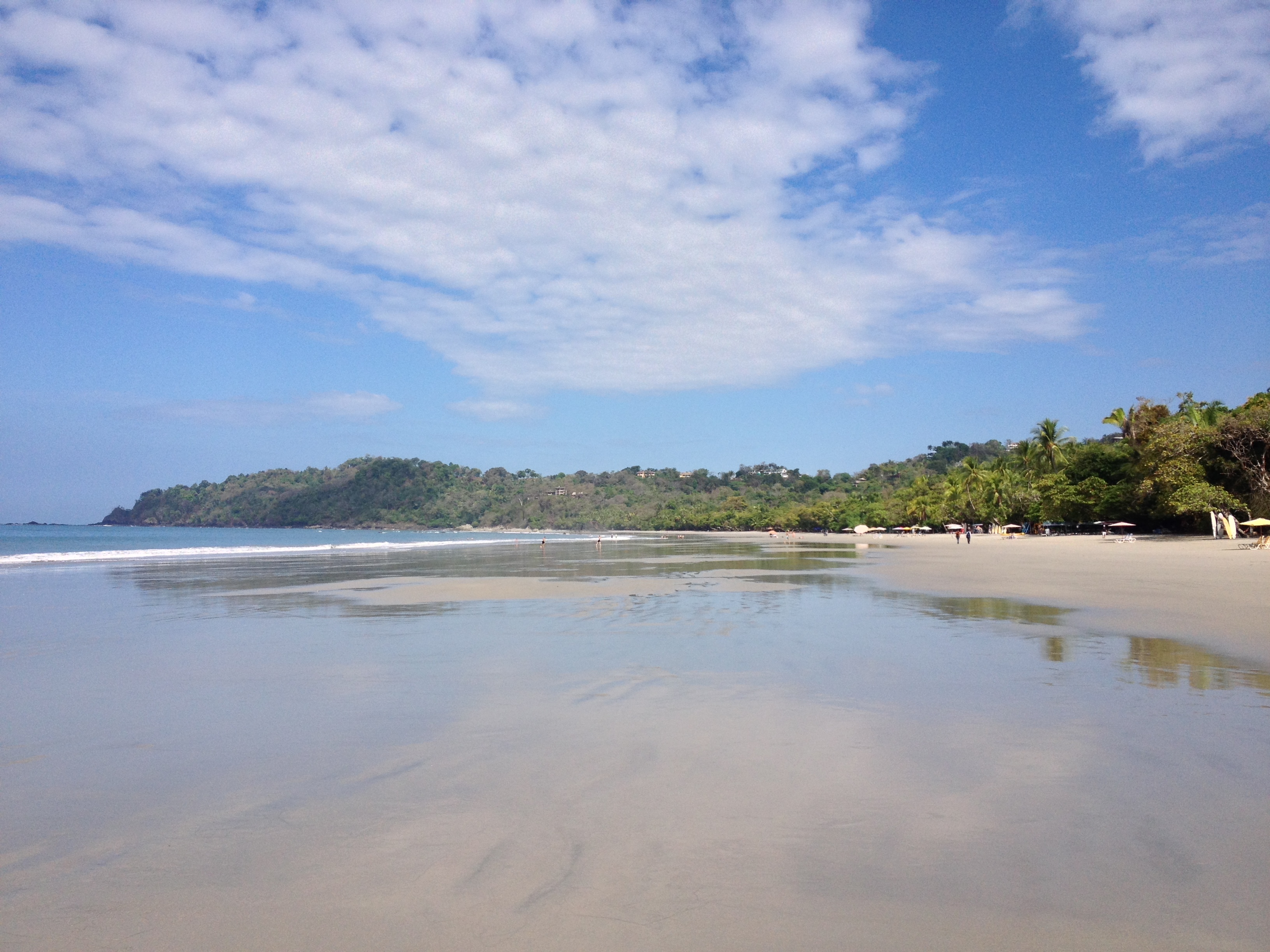 รูปถ่าย คอสตาริกา(Costa Rica) มานวยล์อันโตนีโอ(Manuel Antonio) 2015-03 459