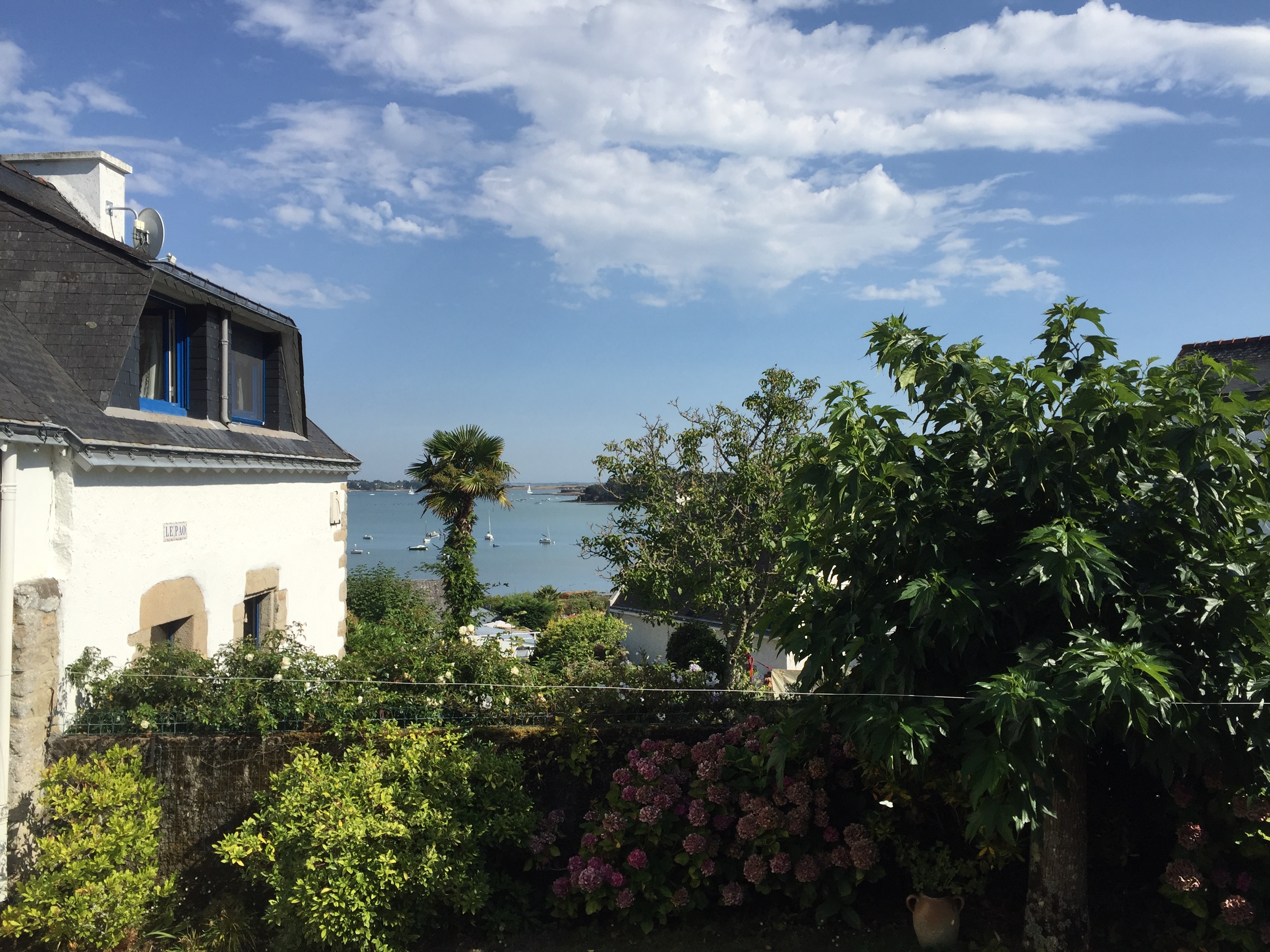 รูปถ่าย ฝรั่งเศส(France) เกาะโอมวน(Ile-aux-Moines) 2016-08 55