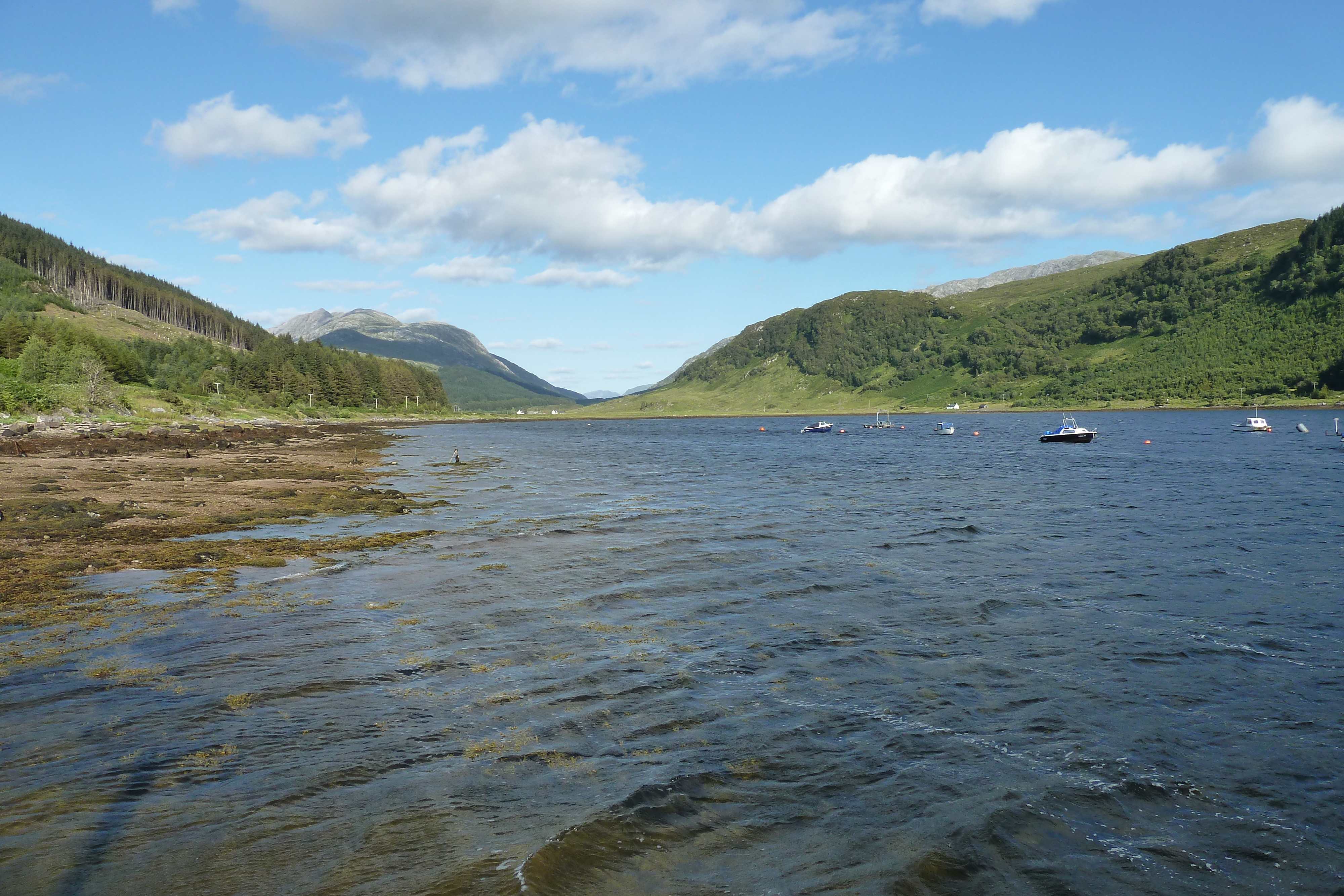 รูปถ่าย อังกฤษ(United Kingdom) สกอตแลนด์(Scotland) ทะเลสาบลอคลินนี(Loch Linnhe) 2011-07 64