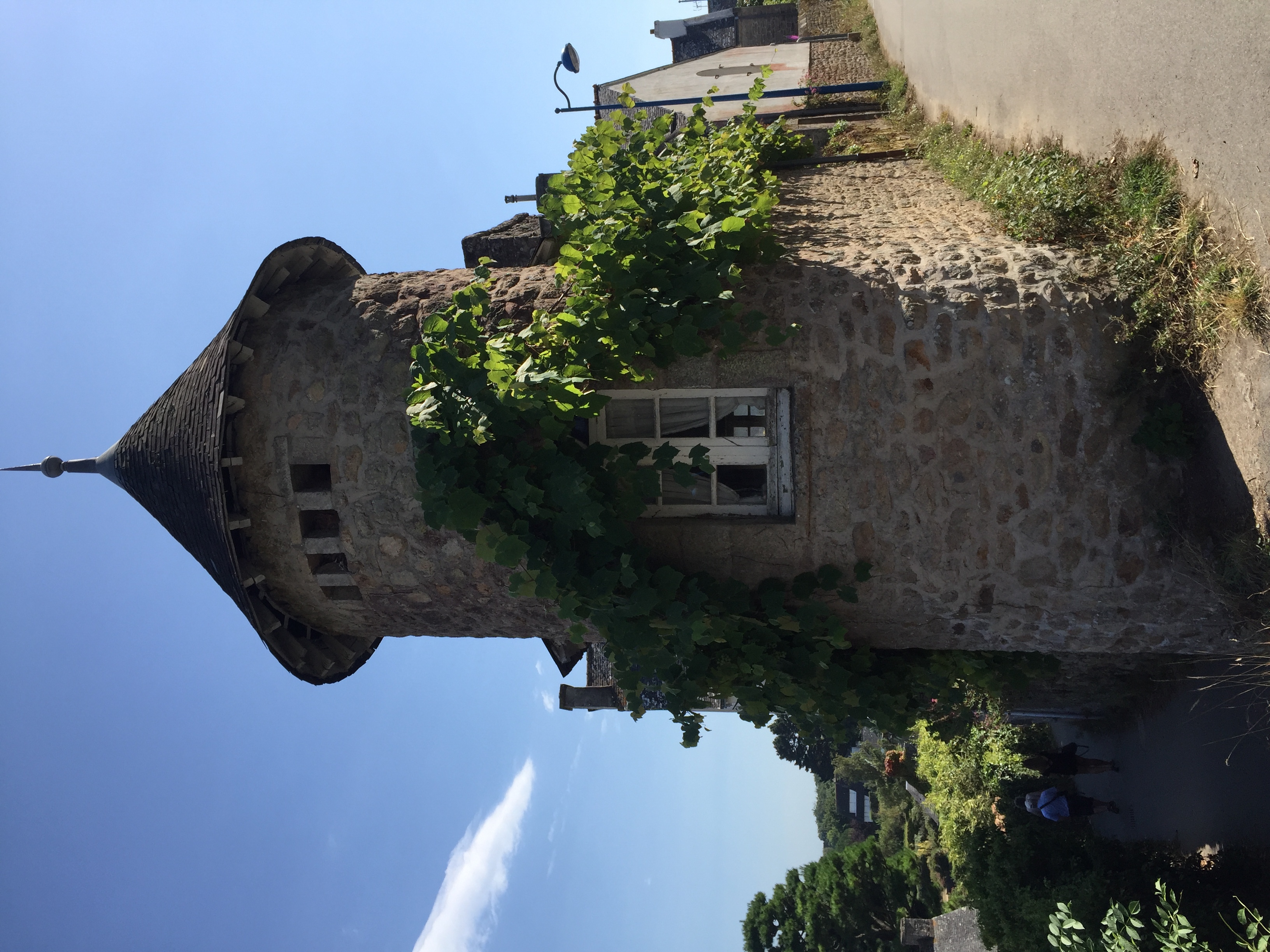 รูปถ่าย ฝรั่งเศส(France) เกาะโอมวน(Ile-aux-Moines) 2016-08 61