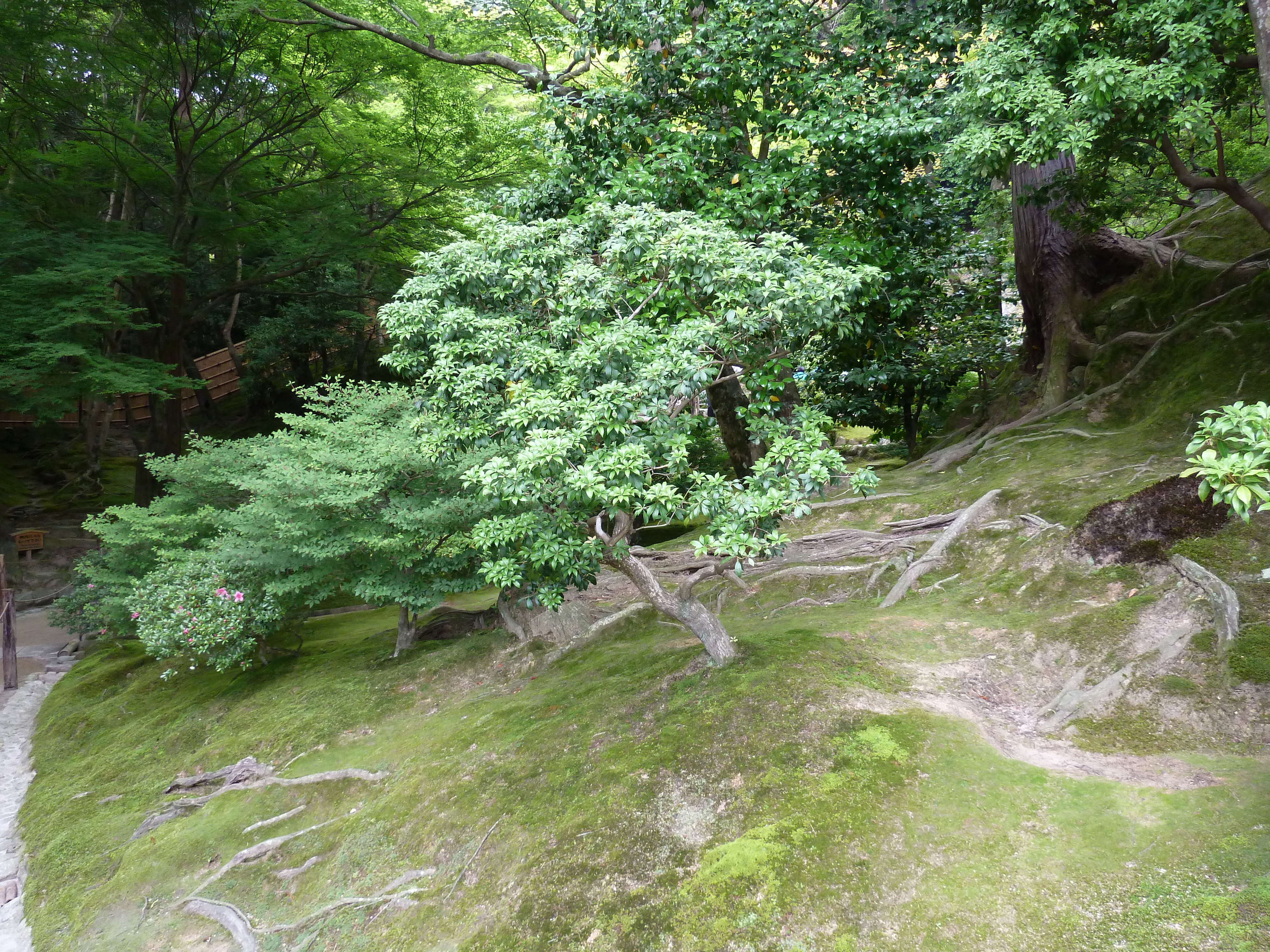 รูปถ่าย ญี่ปุ่น(Japan) เกียวโต(Kyoto) วัดกินกะกุจิ (ศาลาเงิน)(Ginkakuji Temple(Silver Pavilion)) 2010-06 59