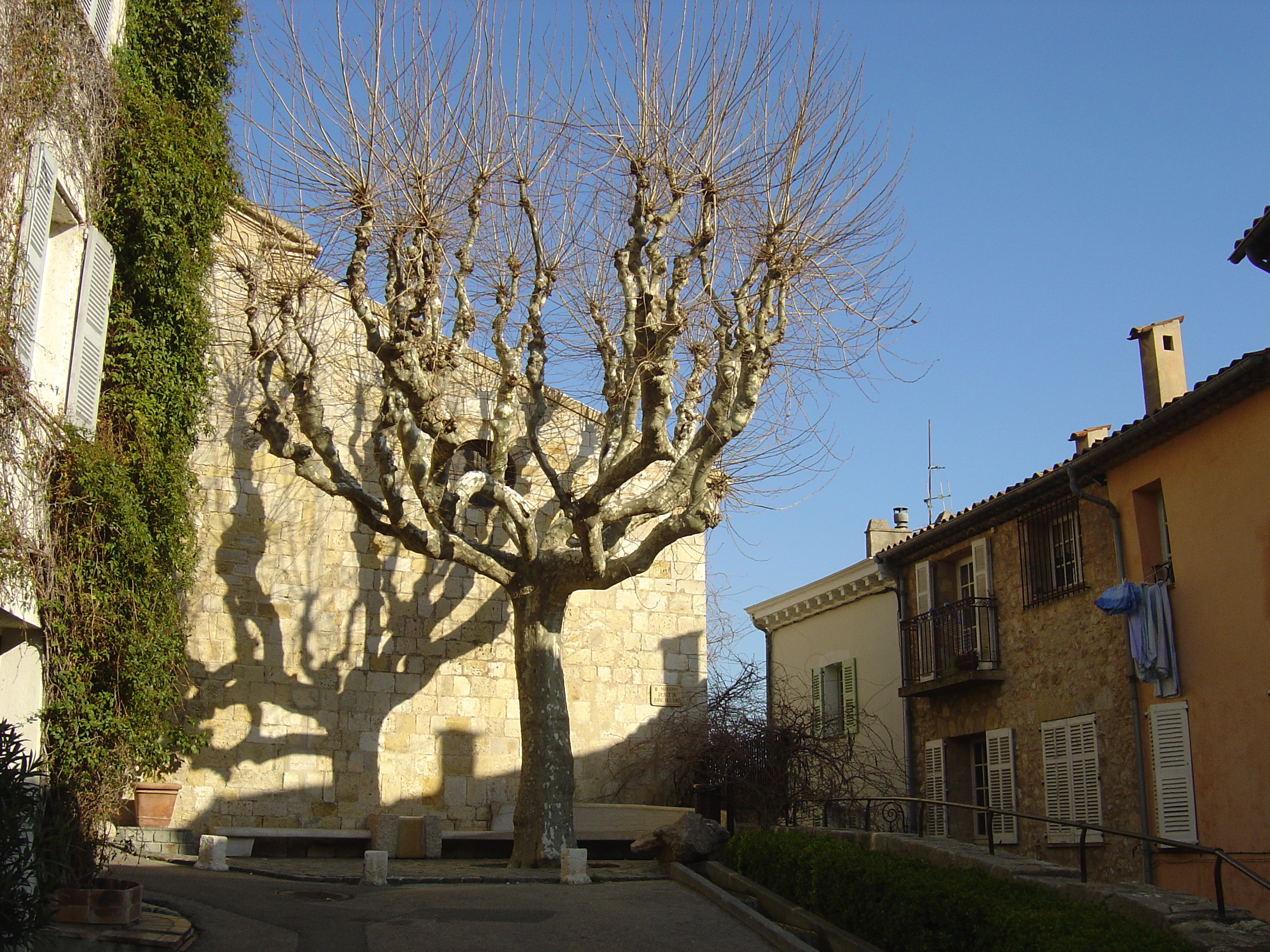 รูปถ่าย ฝรั่งเศส(France) มูแก็งส์(Mougins) 2006-02 24