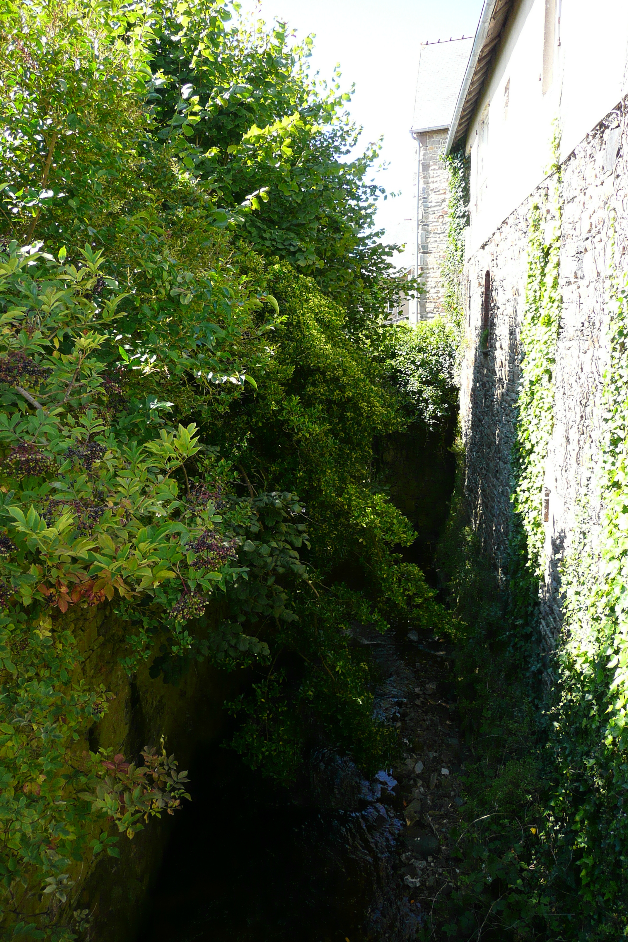 รูปถ่าย ฝรั่งเศส(France) แซ็ง-มีแชล-อ็อง-แกรฟ(St Michel en Greve) 2007-08 32