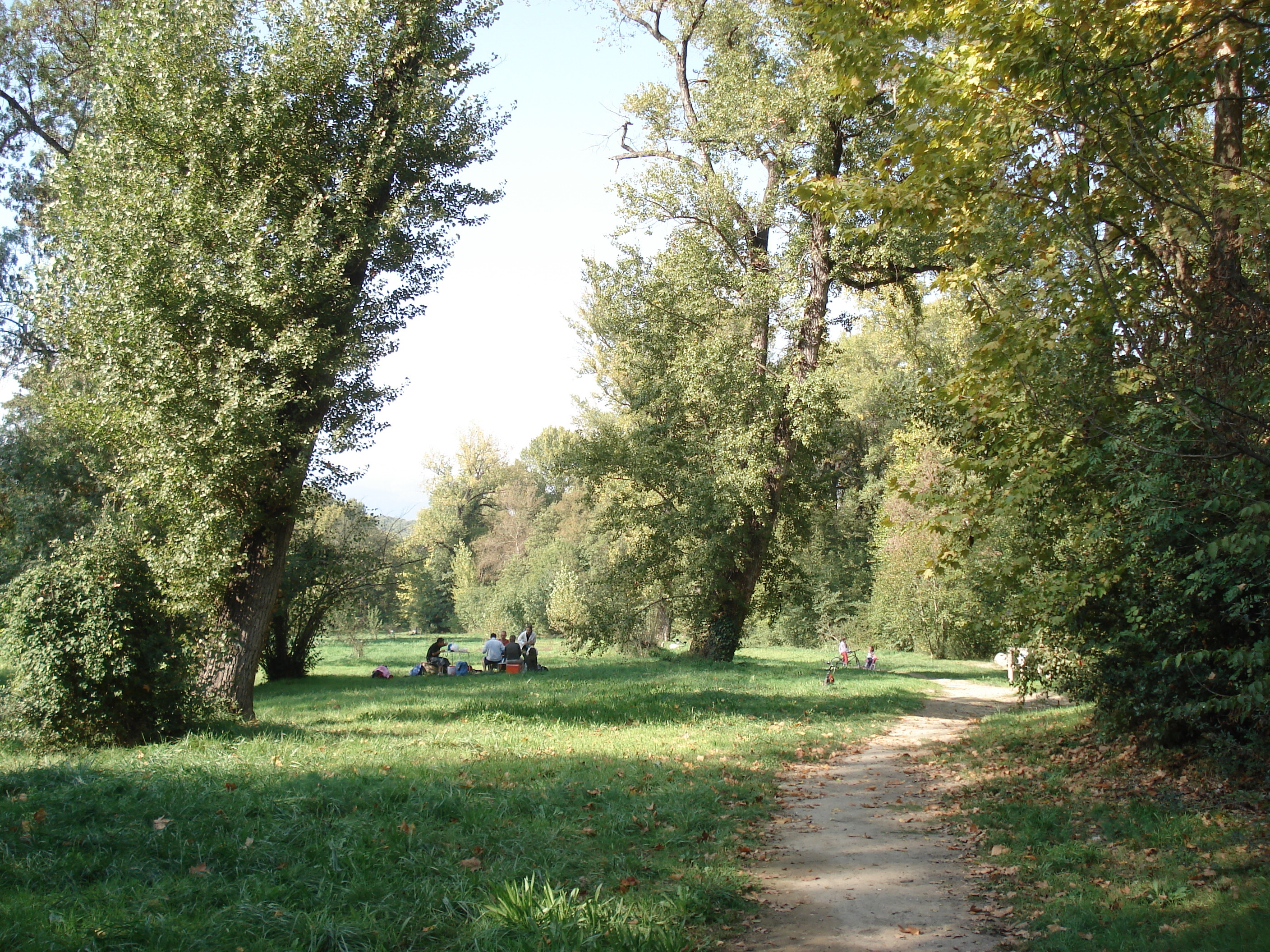 รูปถ่าย ฝรั่งเศส(France) วีลเนิฟ-ลูแบ(Villeneuve Loubet) 2006-10 11