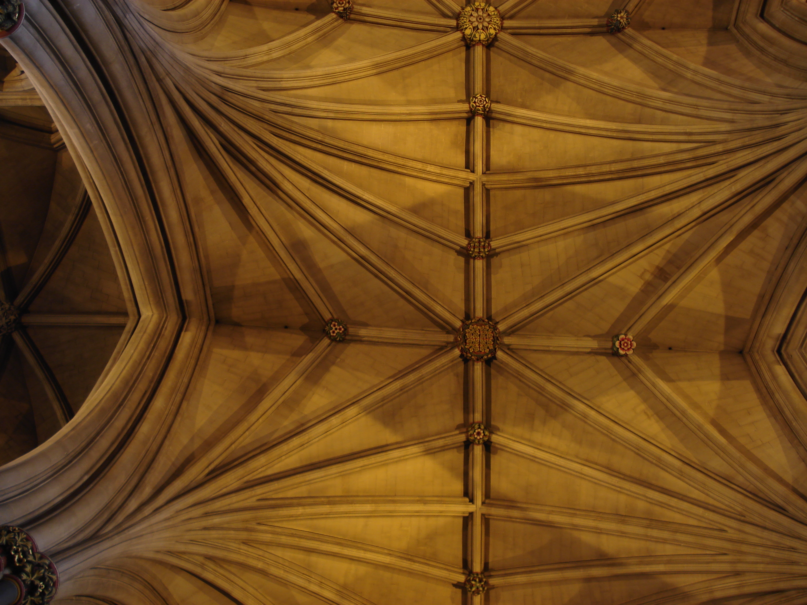 รูปถ่าย อังกฤษ(United Kingdom) บริสโตล(Bristol) 2006-05 47