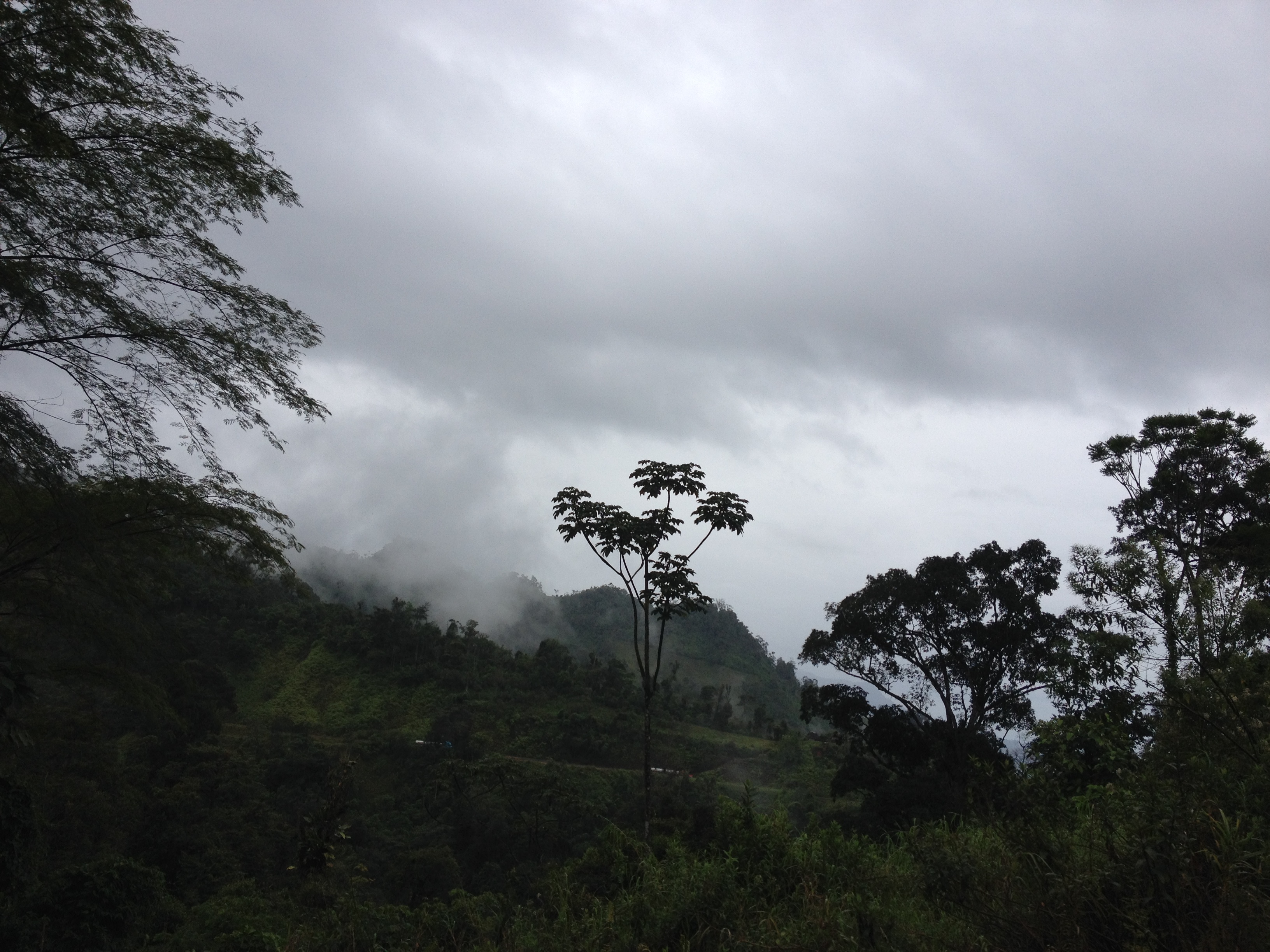 รูปถ่าย ปานามา(Panama) จากดาบิดไปโบกัสเดลโตโร(David to Bocas del toro) 2015-03 52