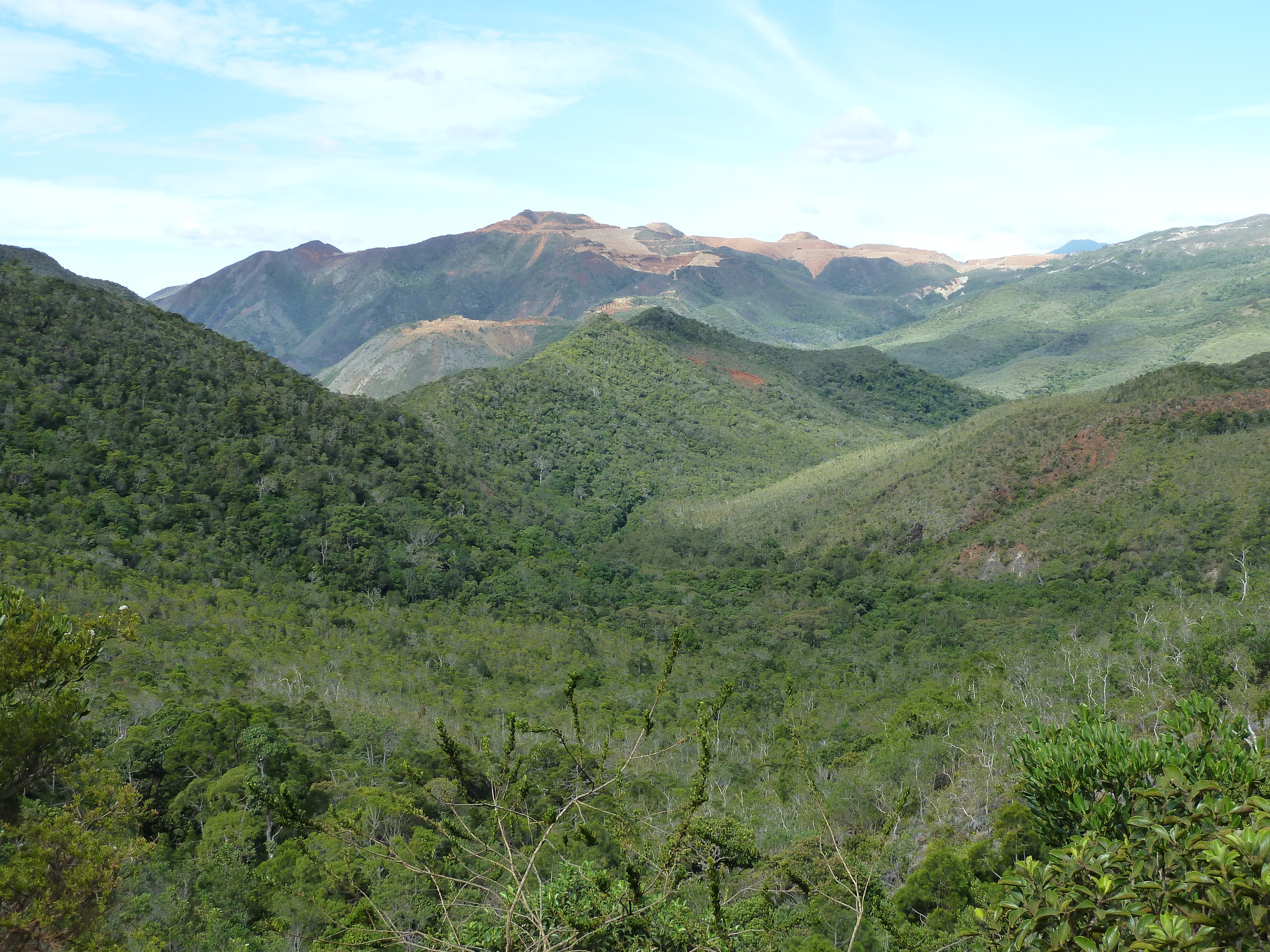 รูปถ่าย นิวแคลิโดเนีย(New Caledonia) ถนนจากทีโอไปกานาลา(Thio to Canala road) 2010-05 48