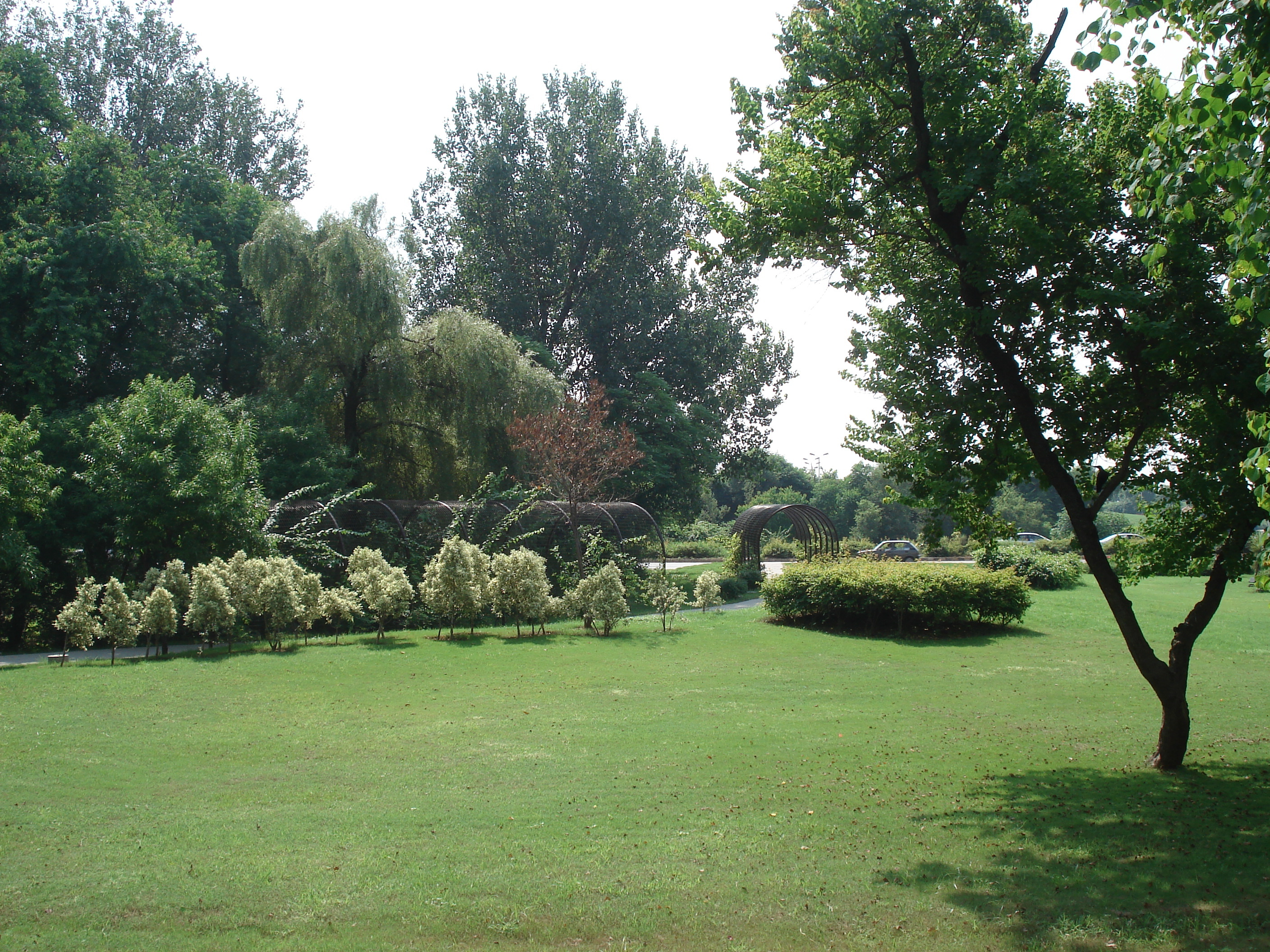 รูปถ่าย ปากีสถาน(Pakistan) อิสลามาแบด(Islamabad) 2006-08 57