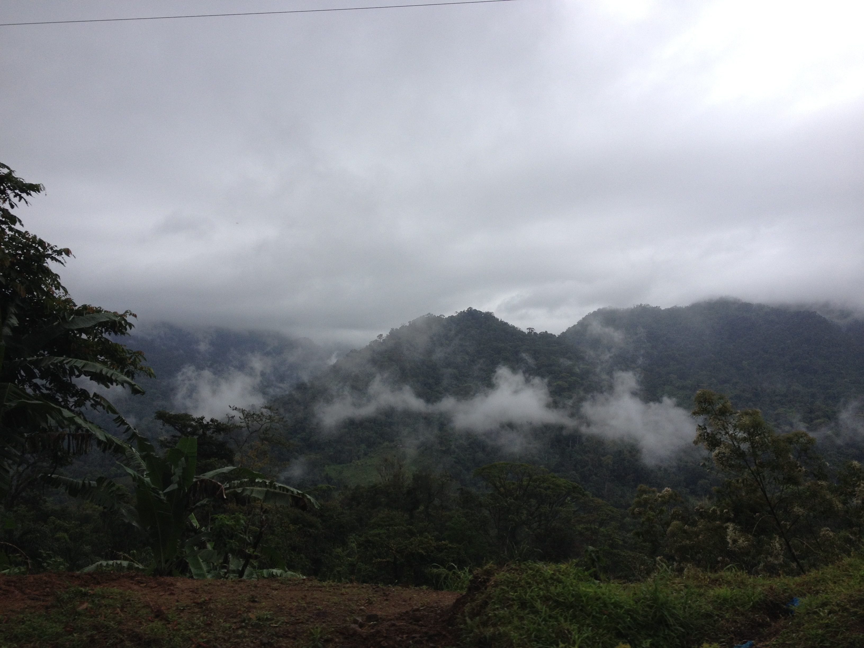 รูปถ่าย ปานามา(Panama) จากดาบิดไปโบกัสเดลโตโร(David to Bocas del toro) 2015-03 47