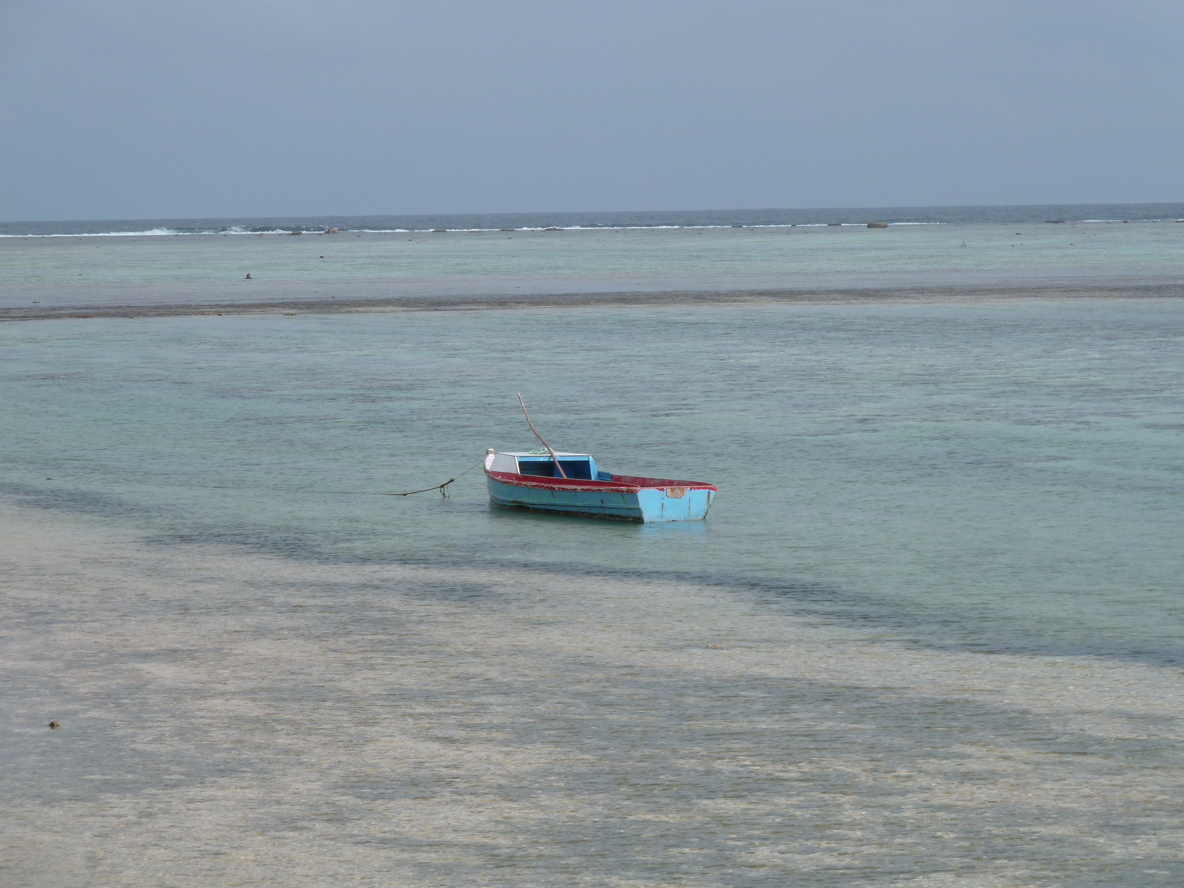 รูปถ่าย ฟิจิ(Fiji) ถนนจากนาดีไปนาตาโดลา(Nadi to Natadola road) 2010-05 82