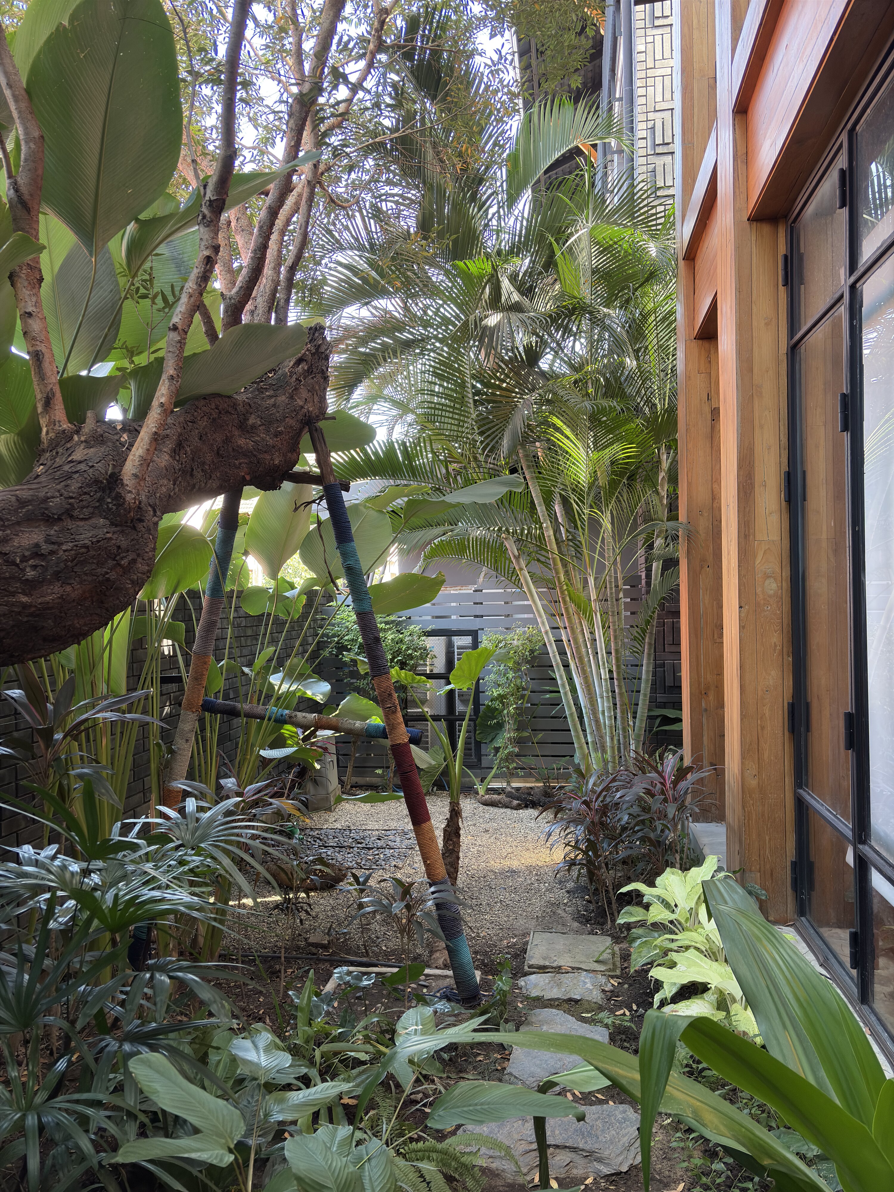 รูปถ่าย ไทย(Thailand) เชียงใหม่(Chiang Mai) 2024-12 89