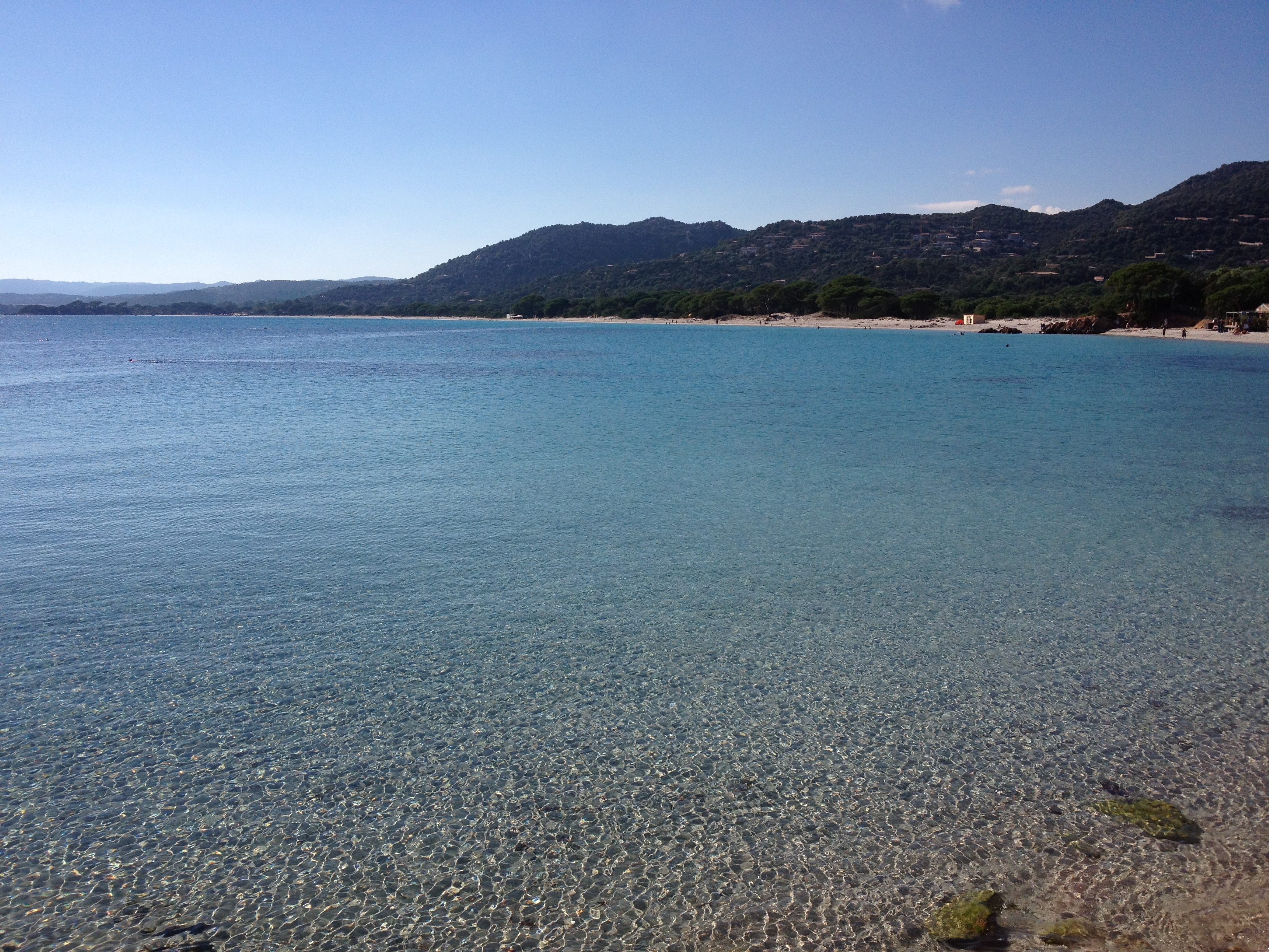 รูปถ่าย ฝรั่งเศส(France) คอร์สิคา(Corsica) ปาลอมบัจจา(Palombaggia) 2012-09 59