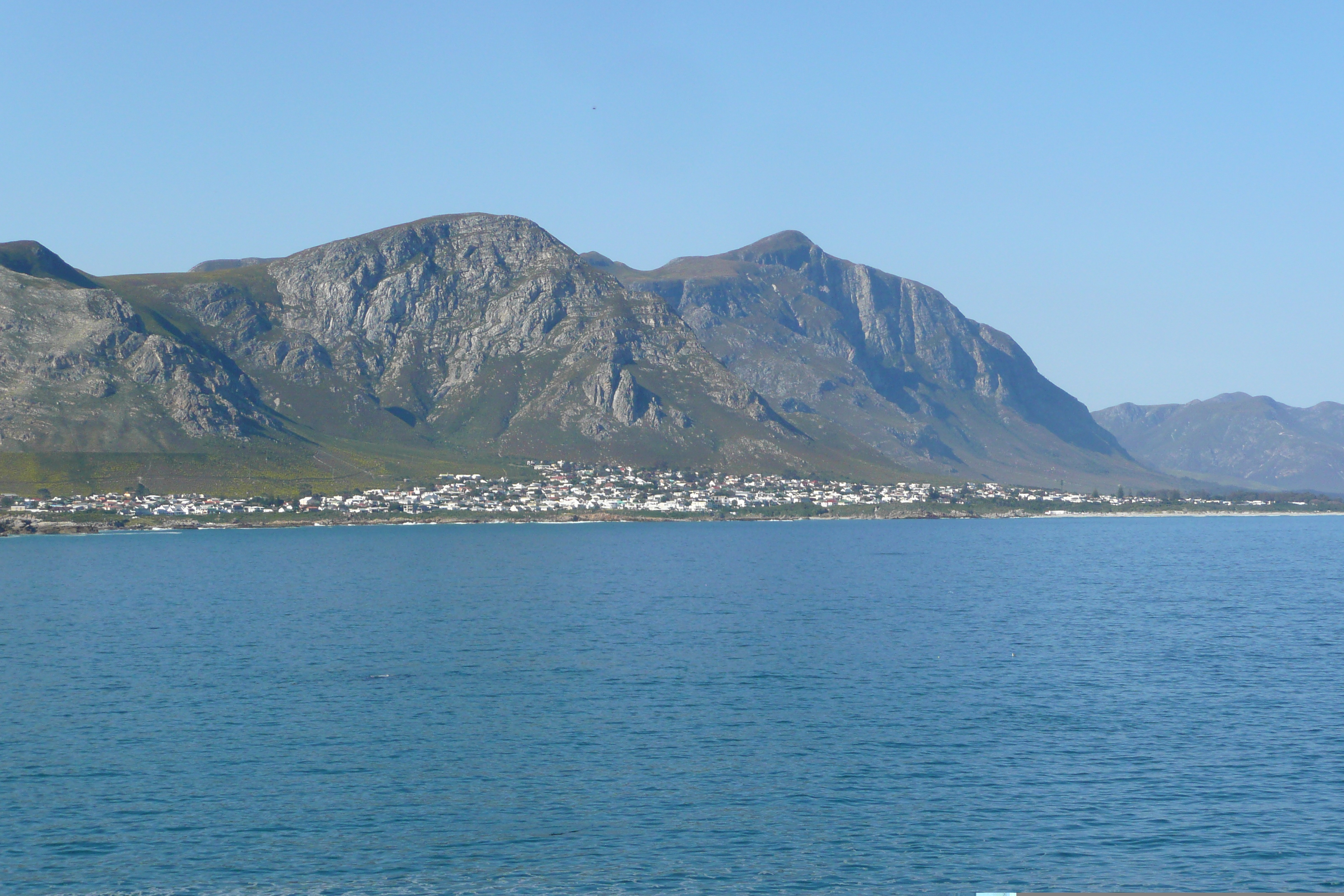 รูปถ่าย แอฟริกาใต้(South Africa) เฮอร์มานัส(Harmanus) 2008-09 77