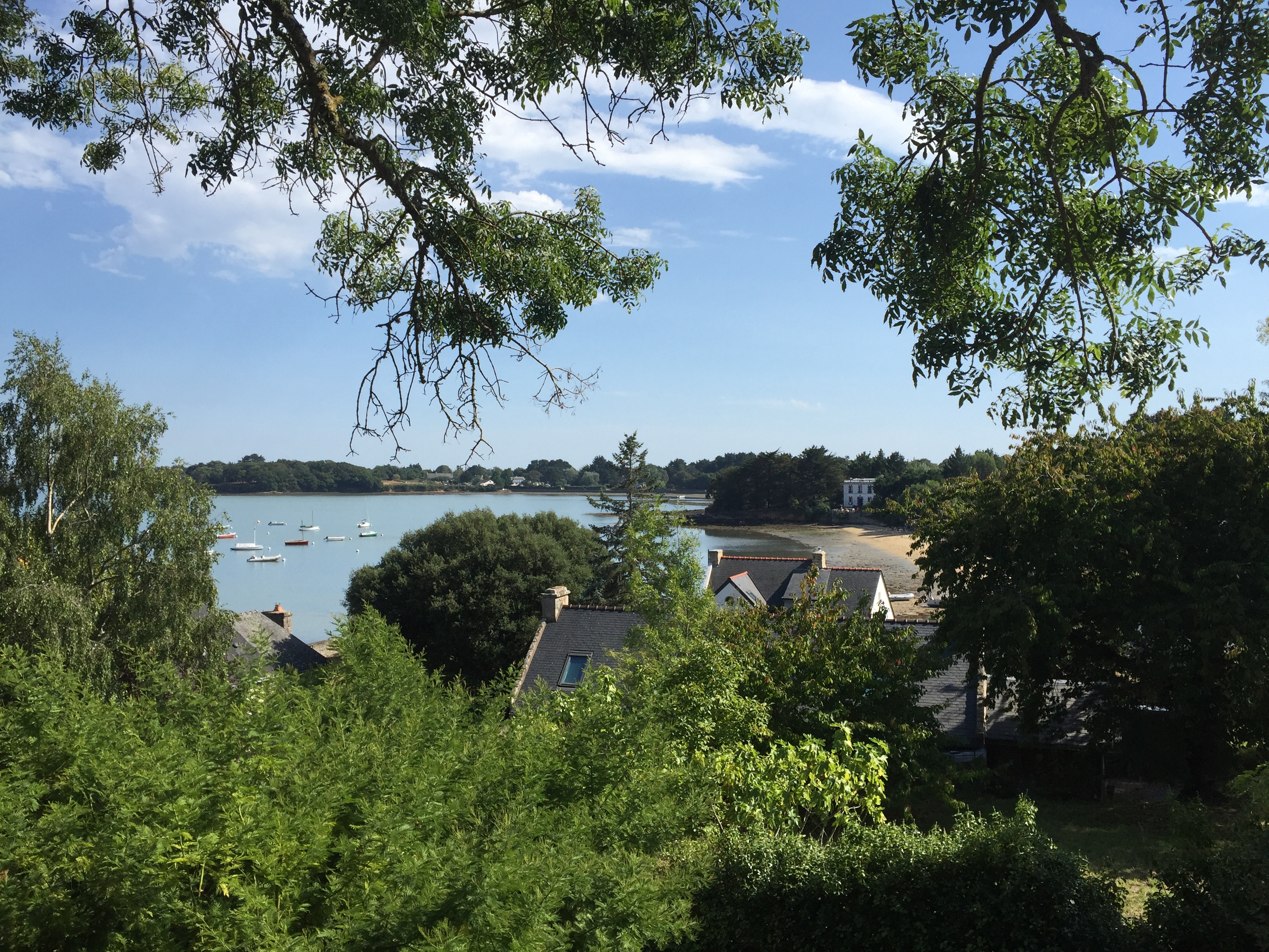 รูปถ่าย ฝรั่งเศส(France) เกาะโอมวน(Ile-aux-Moines) 2016-08 64