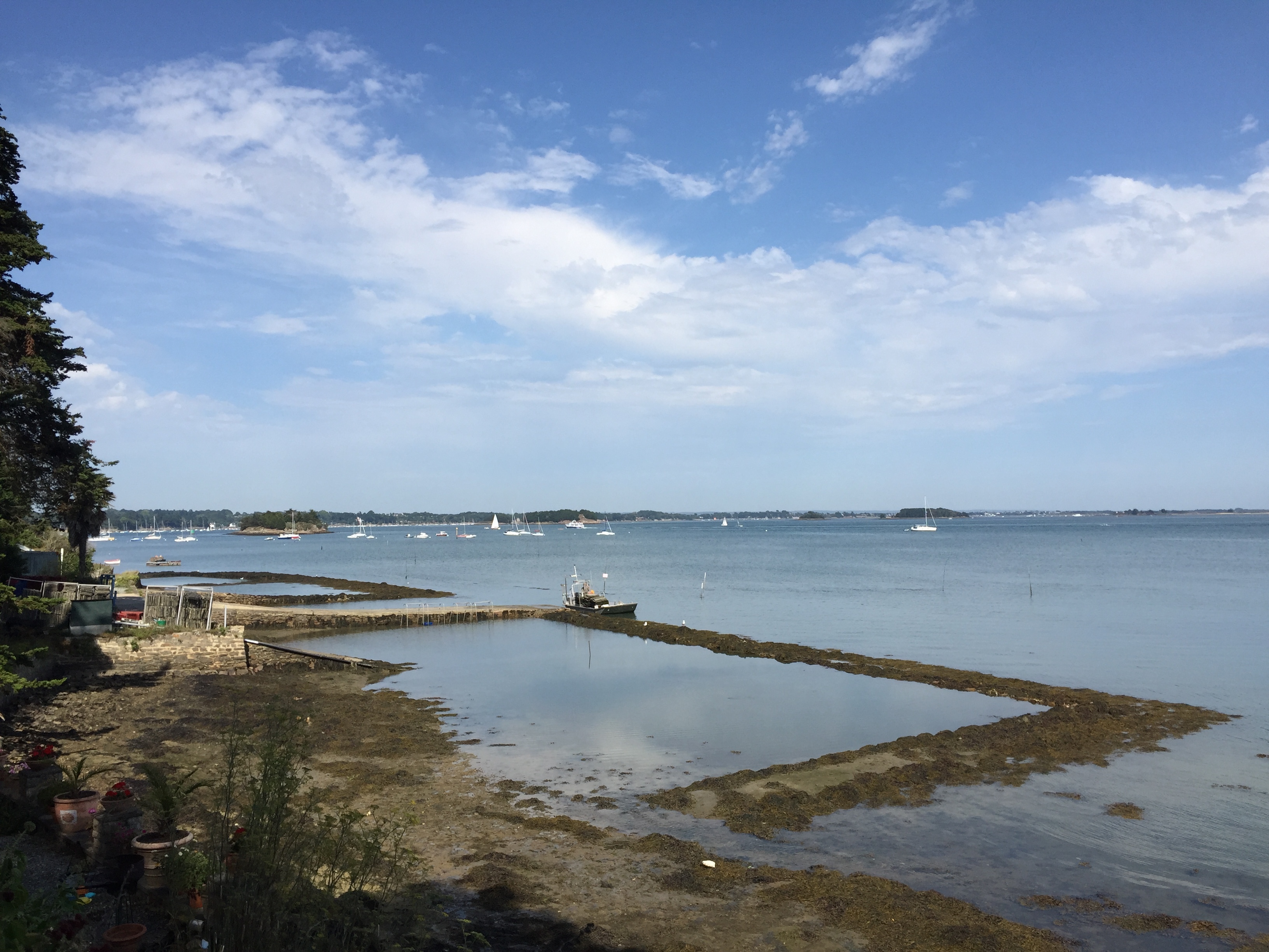รูปถ่าย ฝรั่งเศส(France) เกาะโอมวน(Ile-aux-Moines) 2016-08 56