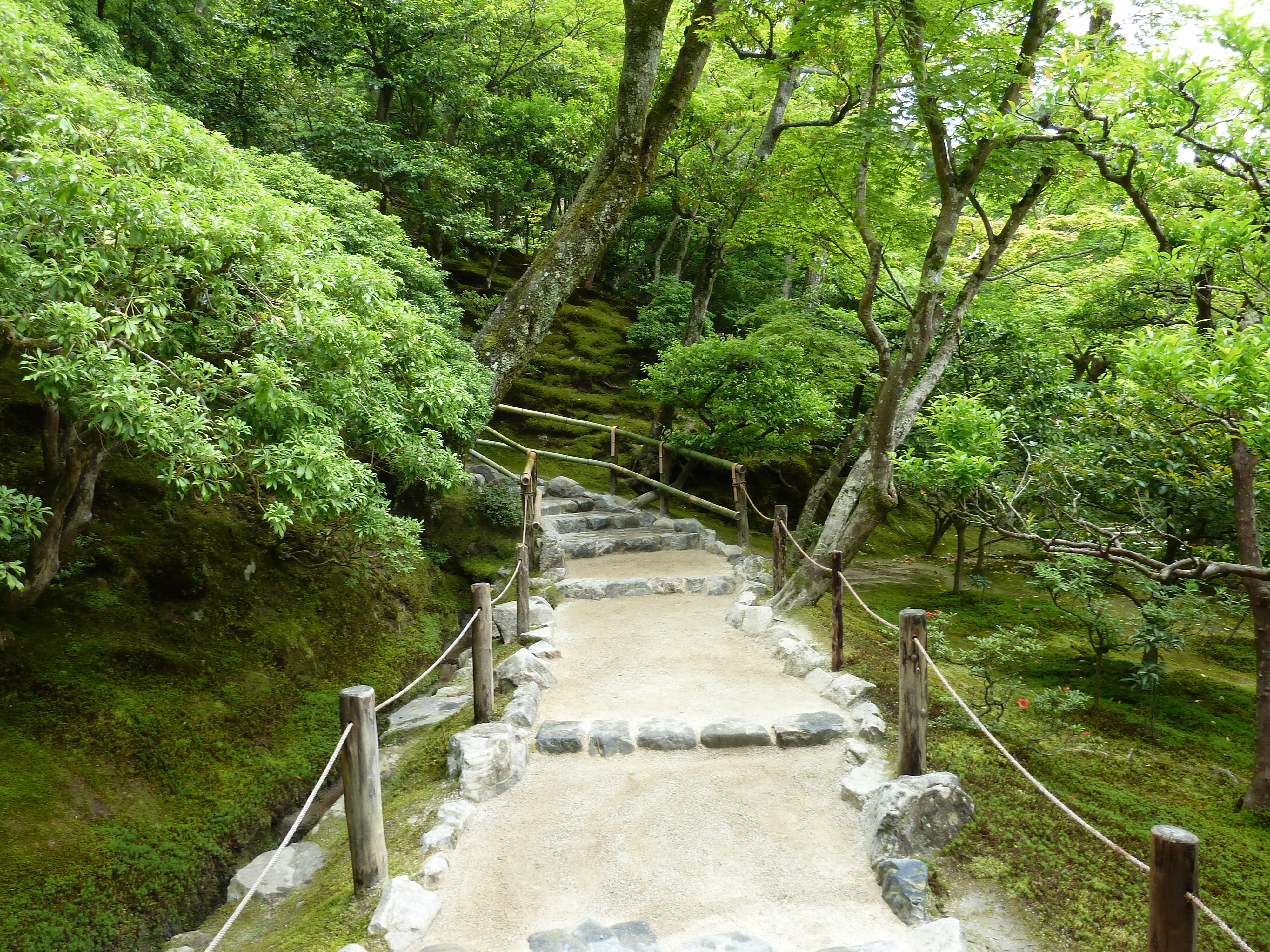 รูปถ่าย ญี่ปุ่น(Japan) เกียวโต(Kyoto) วัดกินกะกุจิ (ศาลาเงิน)(Ginkakuji Temple(Silver Pavilion)) 2010-06 21