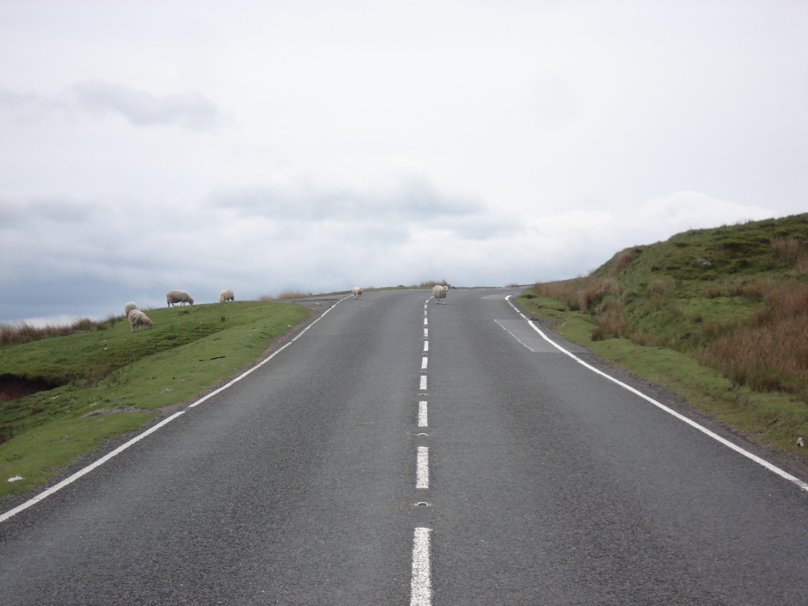 รูปถ่าย อังกฤษ(United Kingdom) อุทยานแห่งชาติเบรคอนบีคอนส์(Brecon Beacons National Park) 2006-05 97