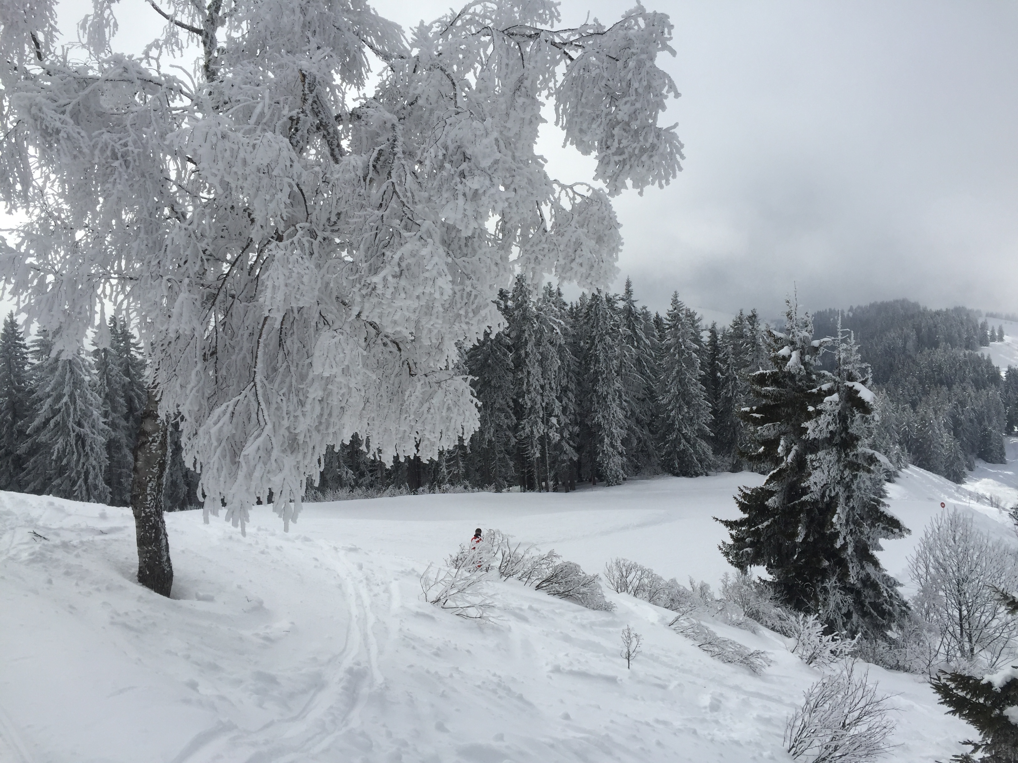 รูปถ่าย ฝรั่งเศส(France) เมแฌฟว์(Megeve) 2016-02 69