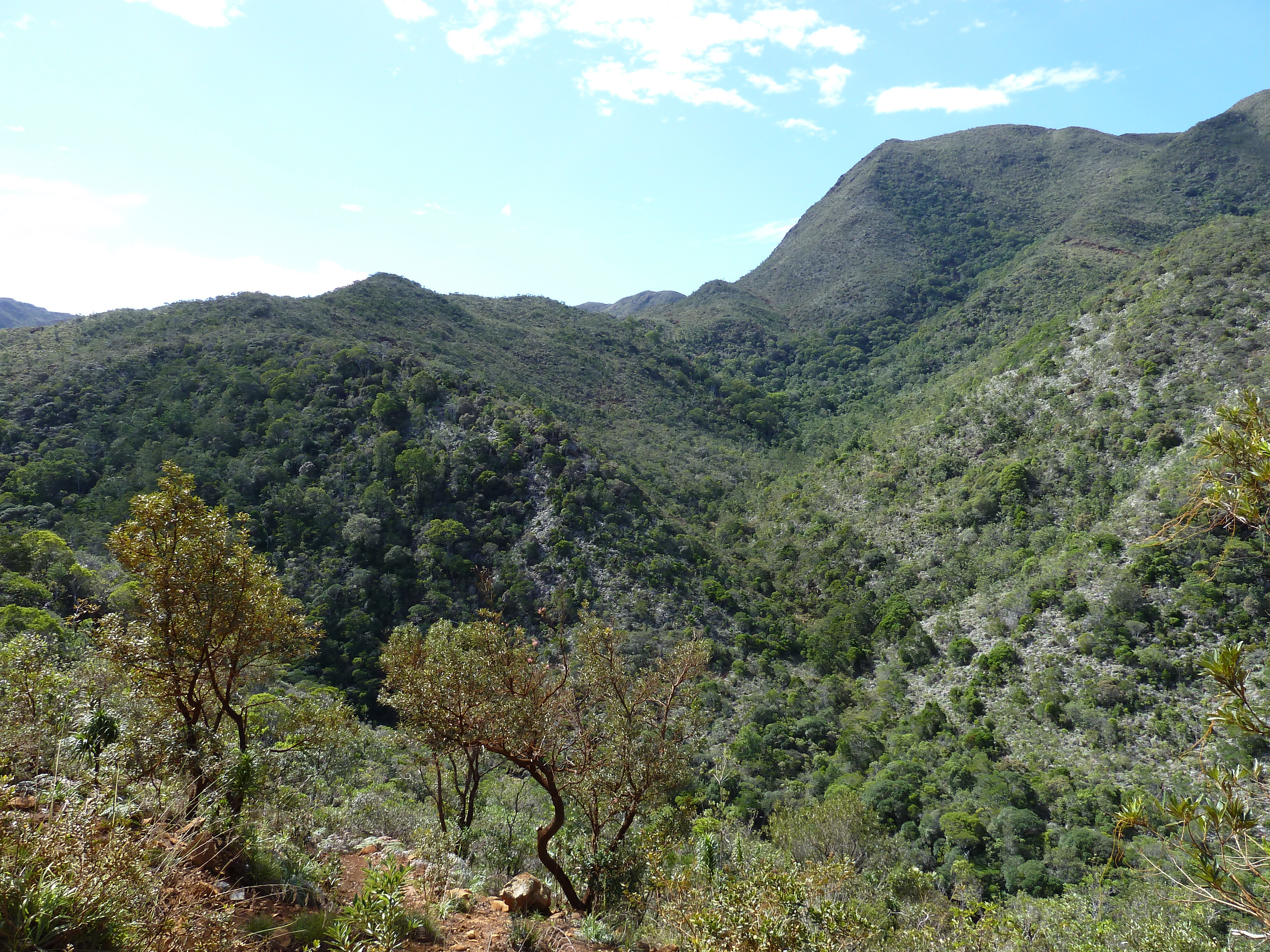 รูปถ่าย นิวแคลิโดเนีย(New Caledonia) ถนนจากทีโอไปกานาลา(Thio to Canala road) 2010-05 40