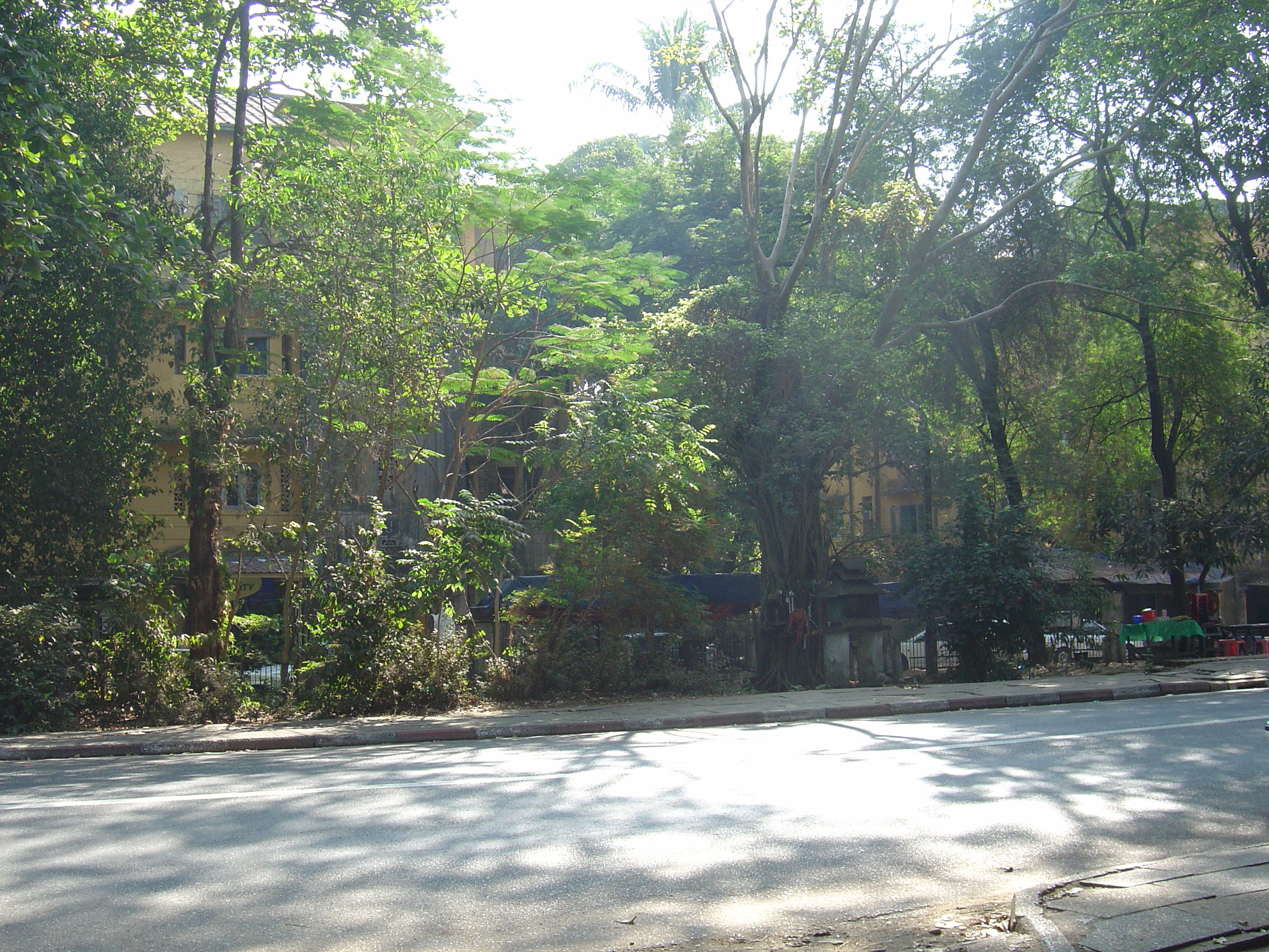 รูปถ่าย พม่า(Myanmar) ย่างกุ้ง(Yangon) 2005-01 66