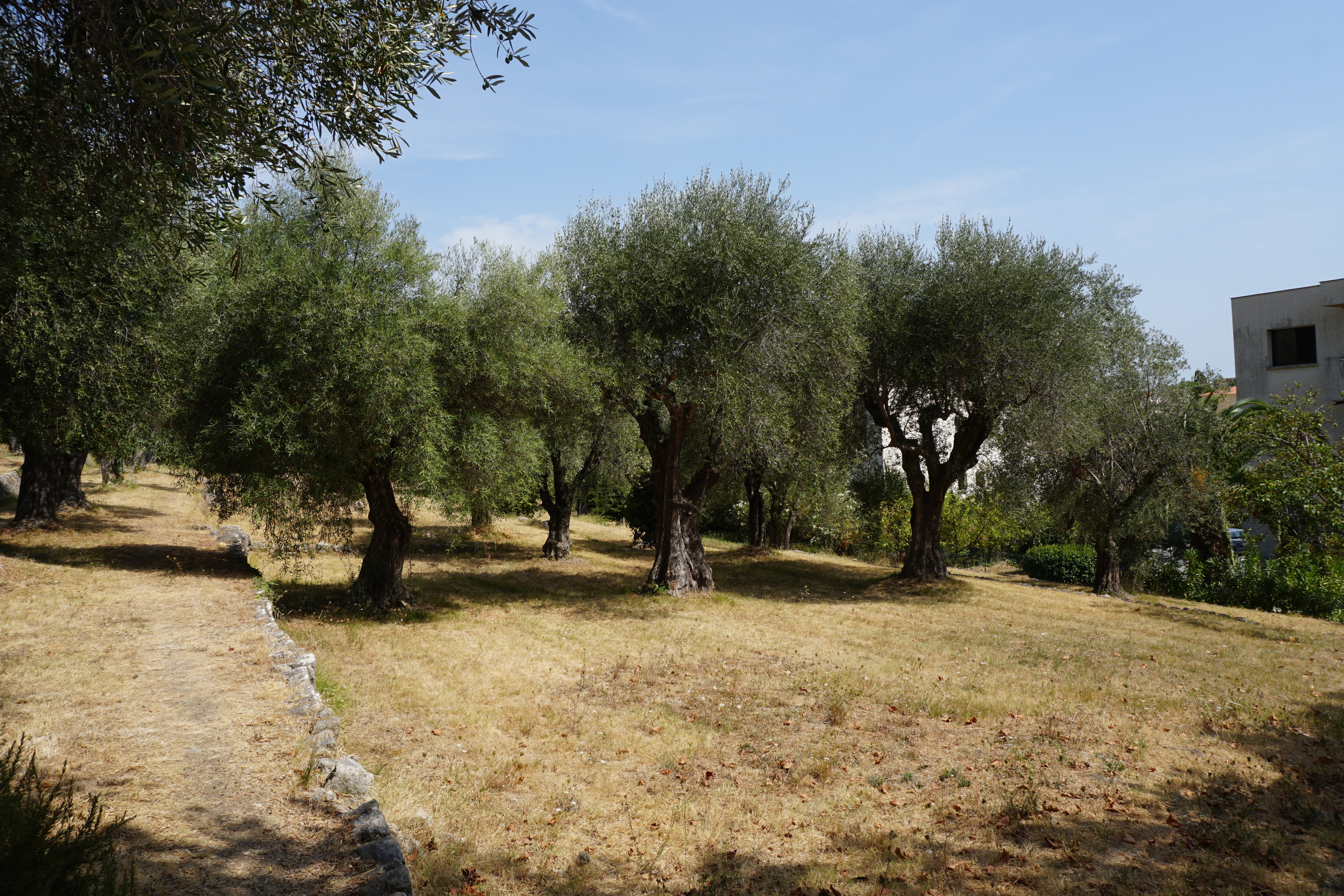 รูปถ่าย ฝรั่งเศส(France) วังซ์(Vence) 2017-08 15