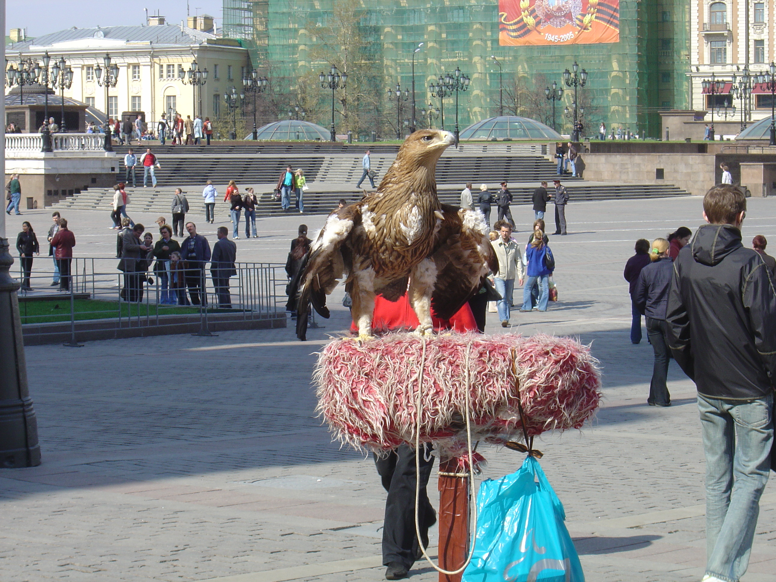 รูปถ่าย รัสเซีย(Russia) มอสโก(Moscow) จตุรัสแดง(Red Square) 2005-04 182