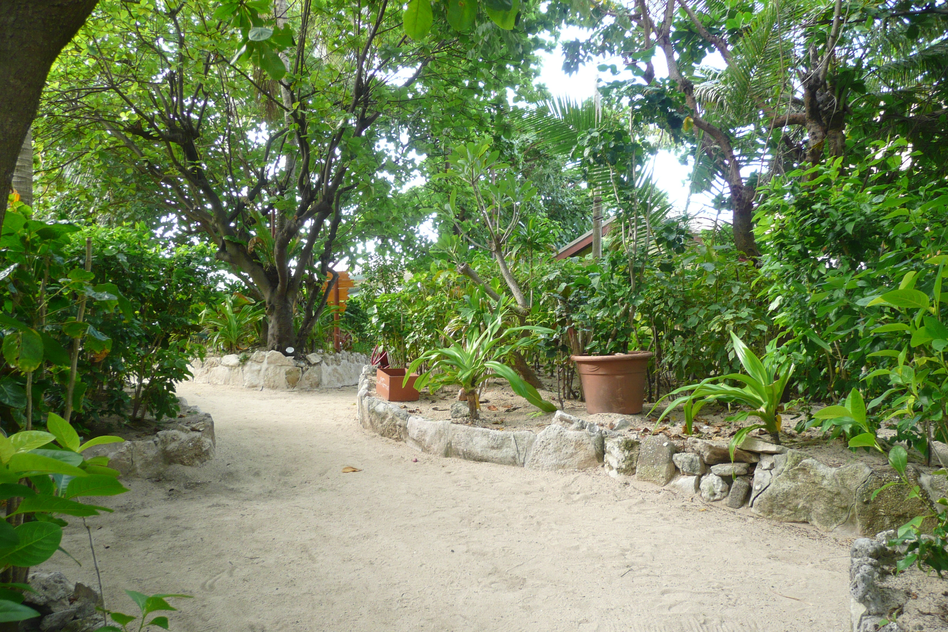 รูปถ่าย ฟิจิ(Fiji) เกาะบีชโคมเบอร์(Beachcomber Island) 2010-05 58