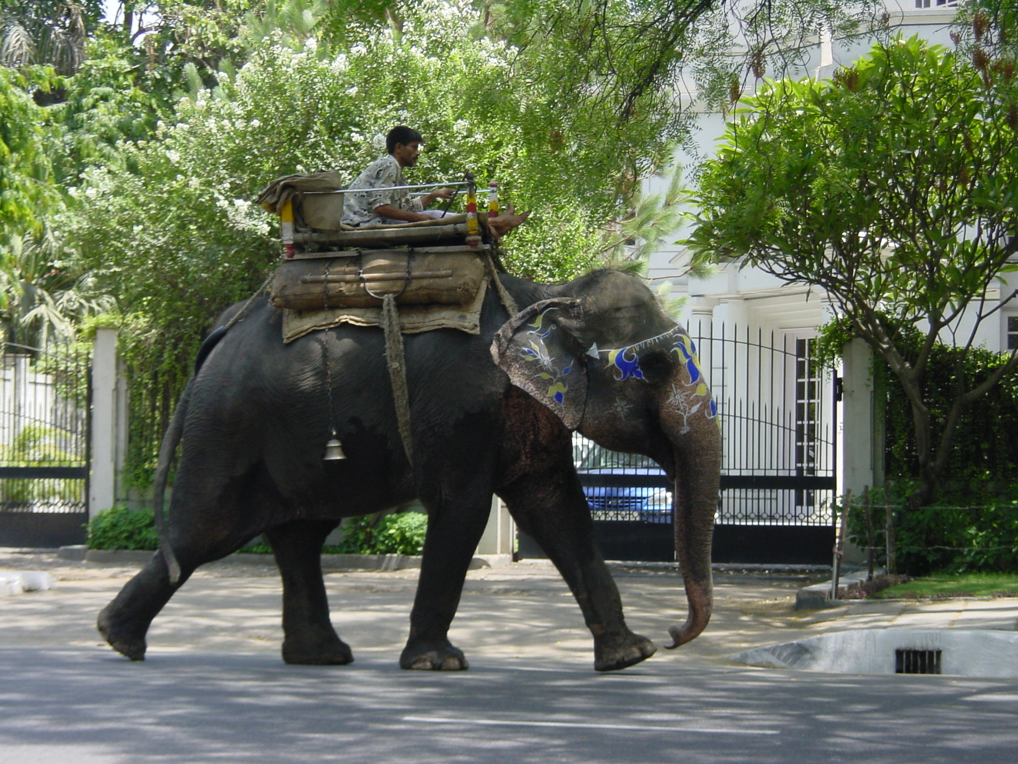 รูปถ่าย อินเดีย(India) 2003-05 10