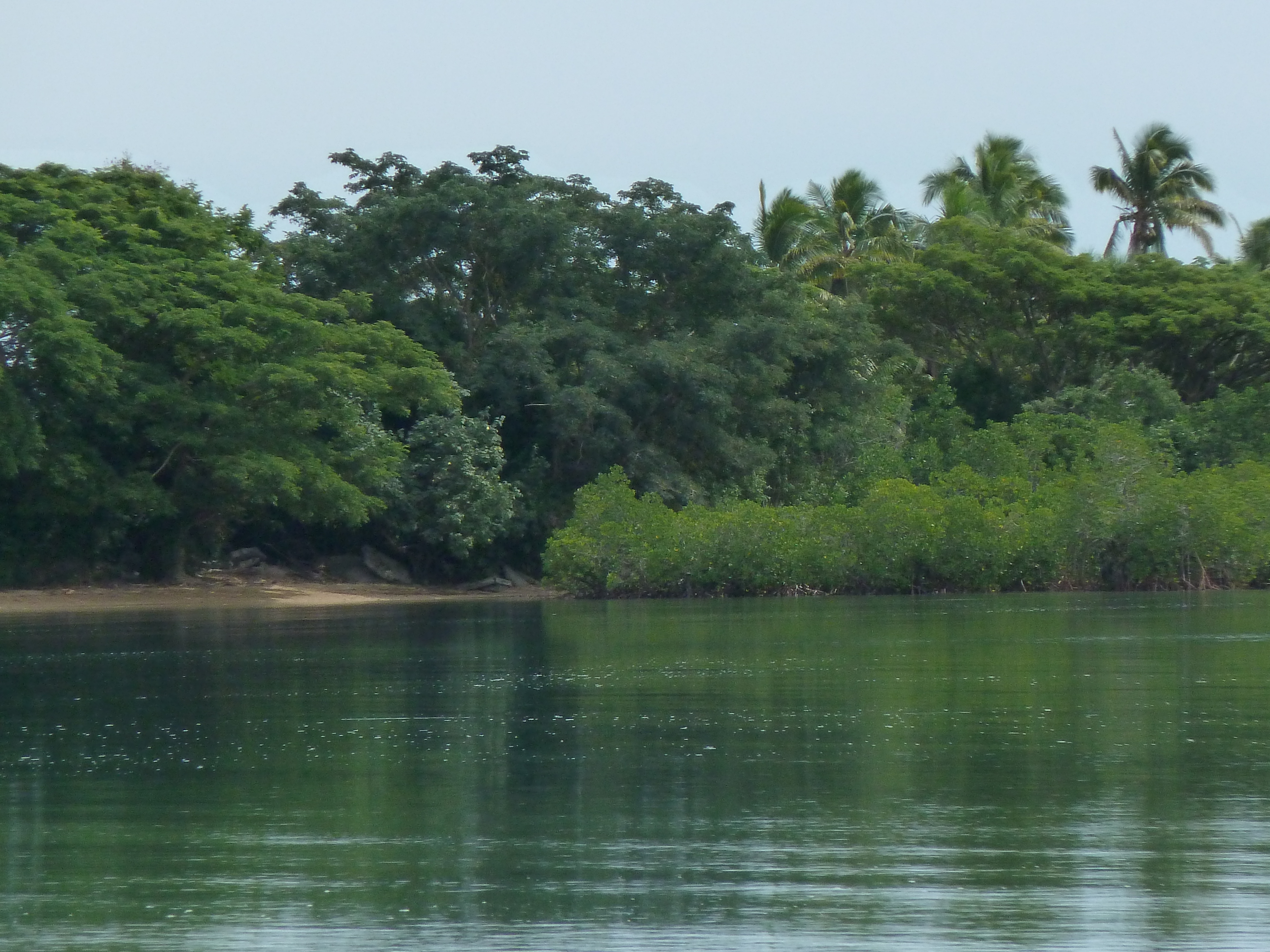 รูปถ่าย ฟิจิ(Fiji) วีเซเซ(Viseisei) 2010-05 10