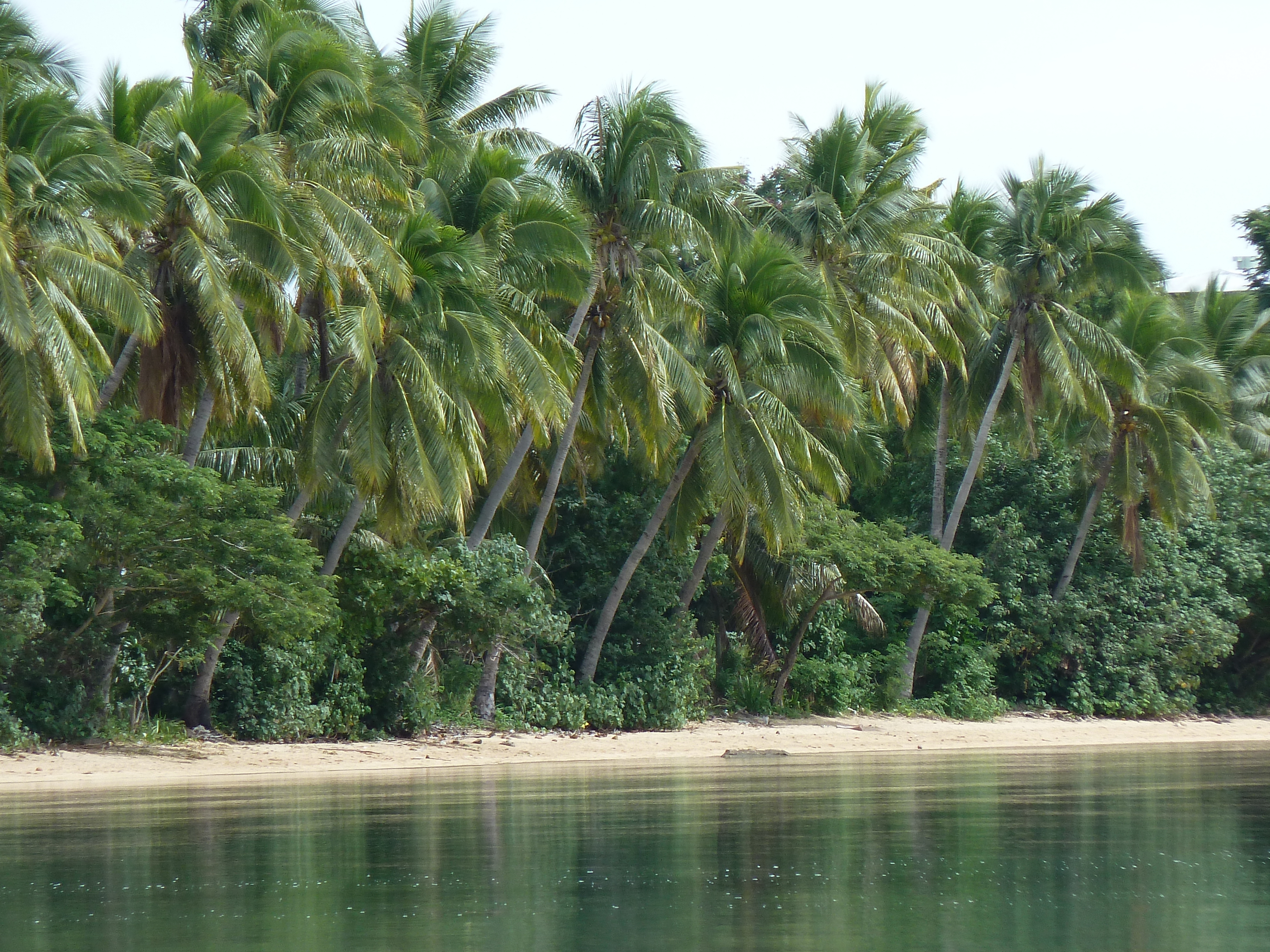 รูปถ่าย ฟิจิ(Fiji) วีเซเซ(Viseisei) 2010-05 13