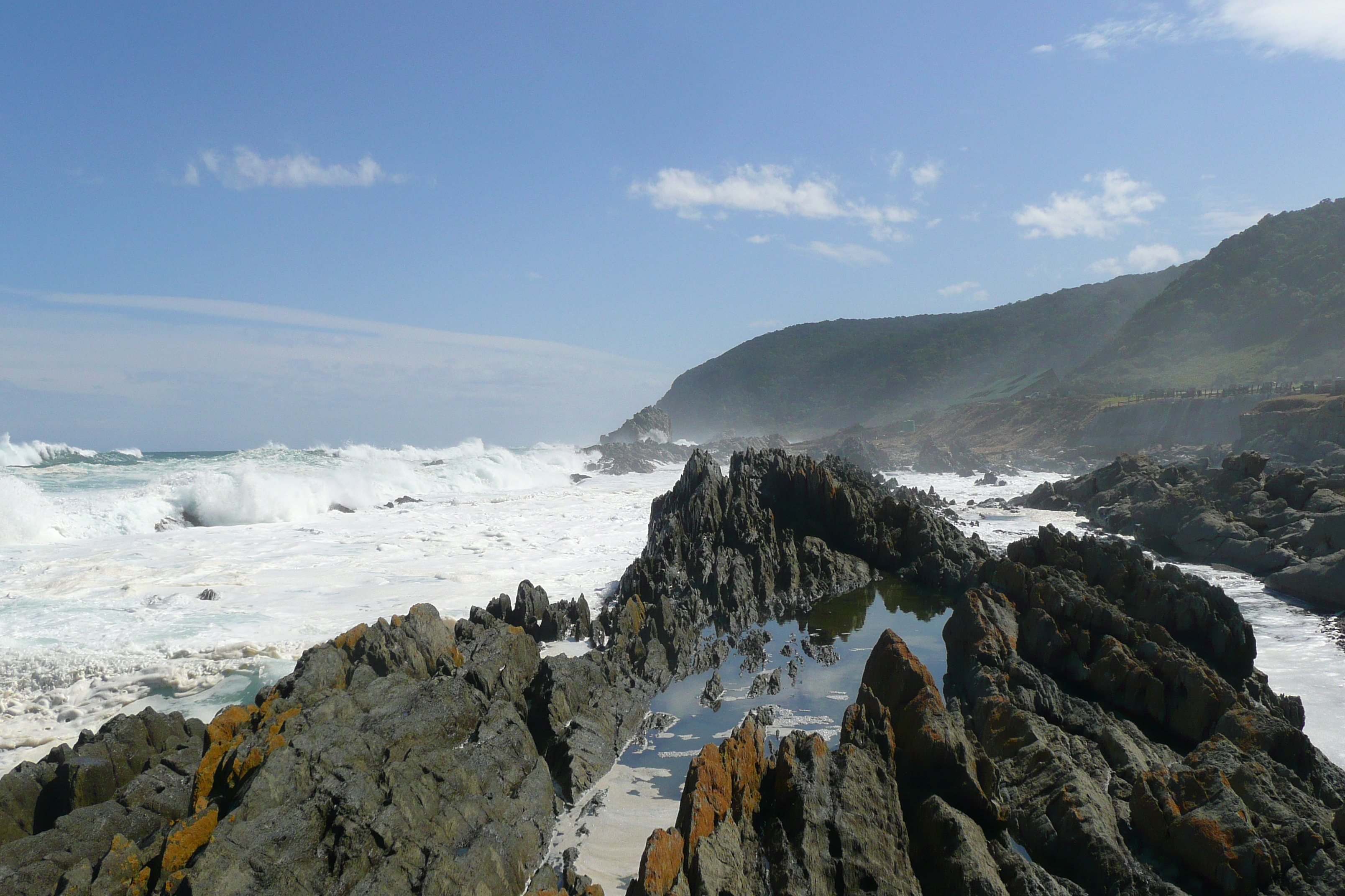 รูปถ่าย แอฟริกาใต้(South Africa) อุทยานแห่งชาติซิตซิคัมมา(Tsitsikamma National Park) 2008-09 422