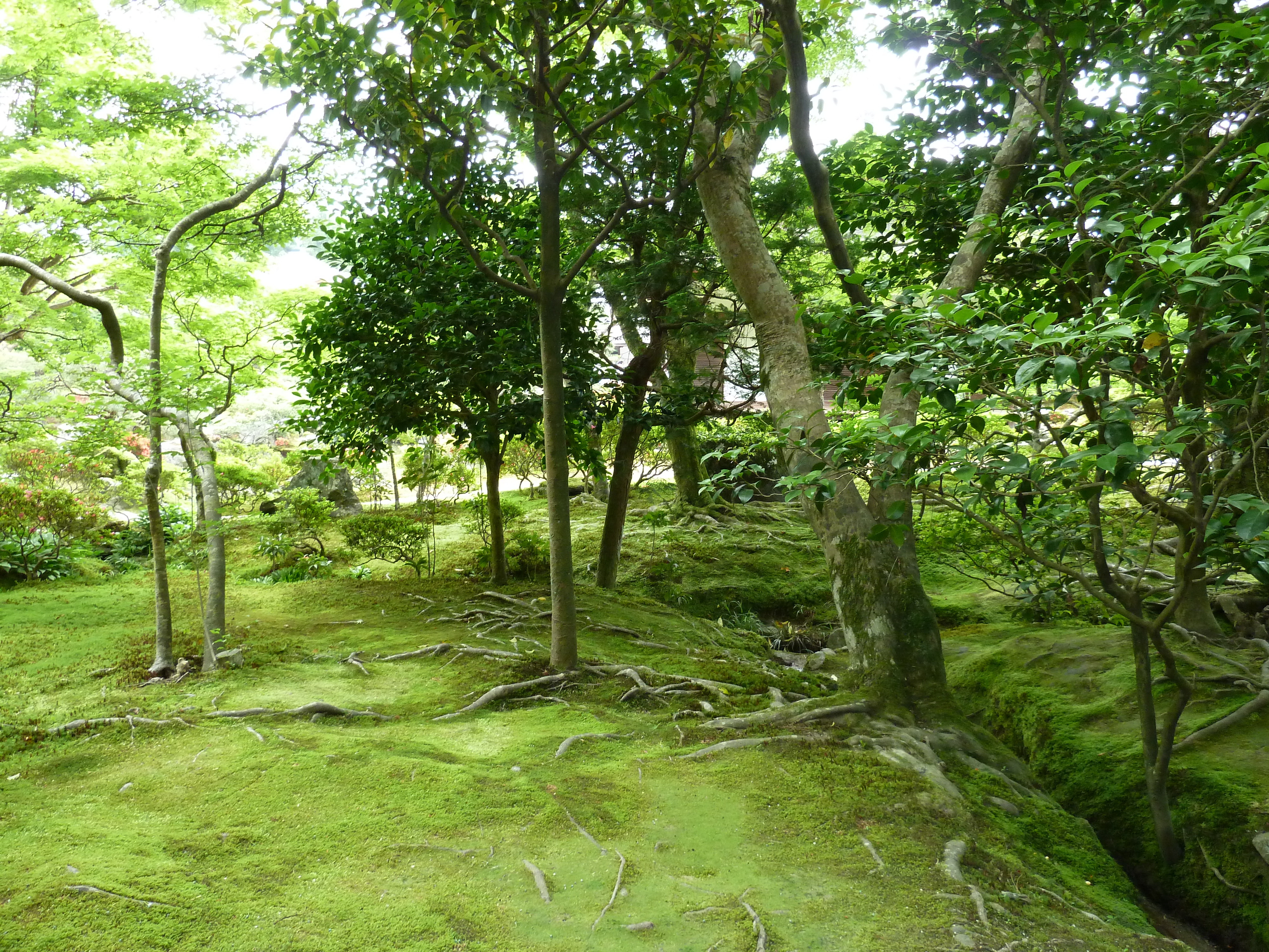 รูปถ่าย ญี่ปุ่น(Japan) เกียวโต(Kyoto) วัดกินกะกุจิ (ศาลาเงิน)(Ginkakuji Temple(Silver Pavilion)) 2010-06 42
