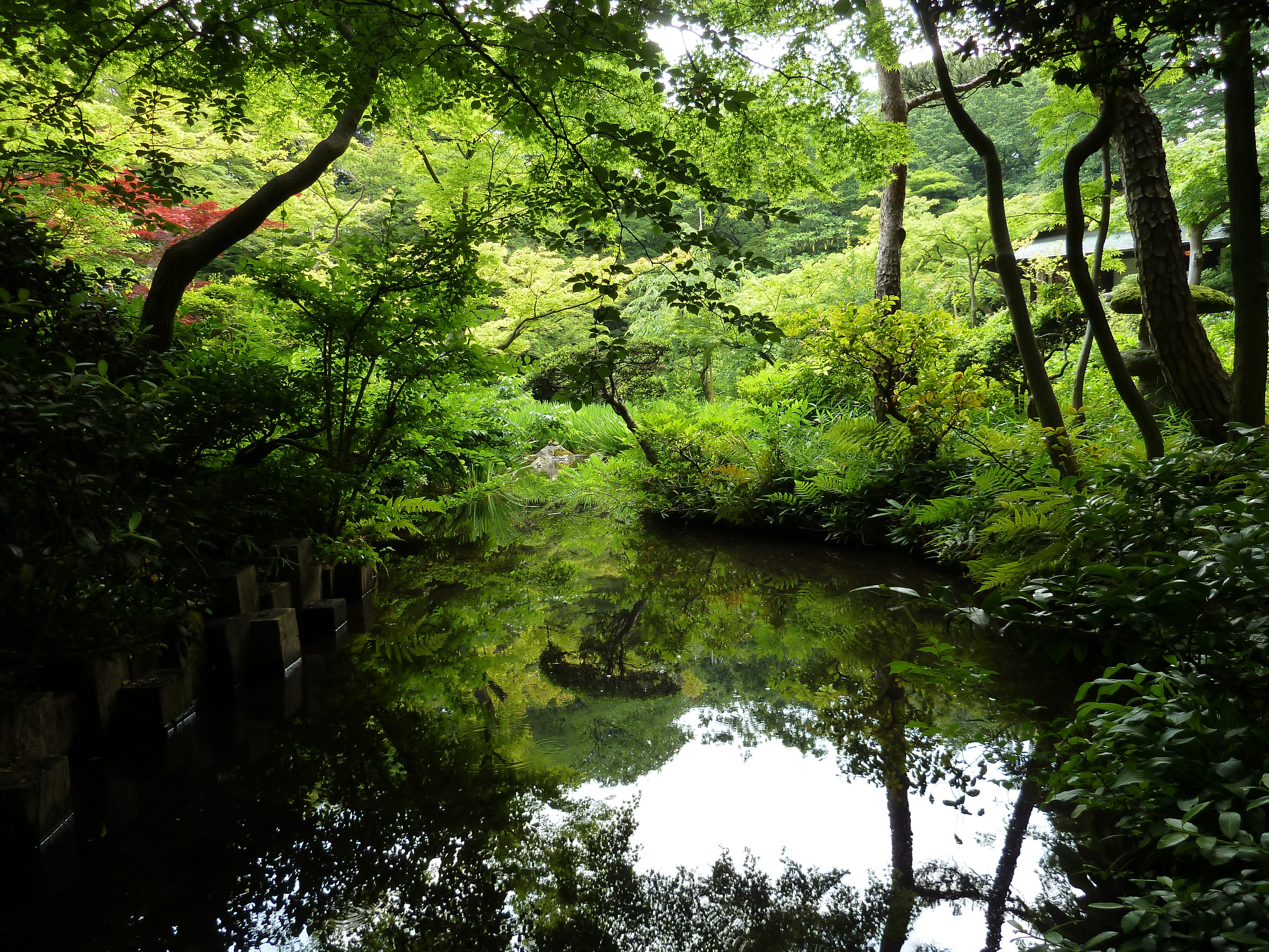 รูปถ่าย ญี่ปุ่น(Japan) โตเกียว(Tokyo) พิพิธภัณฑ์เนซุ(Nezu Museum) 2010-06 83