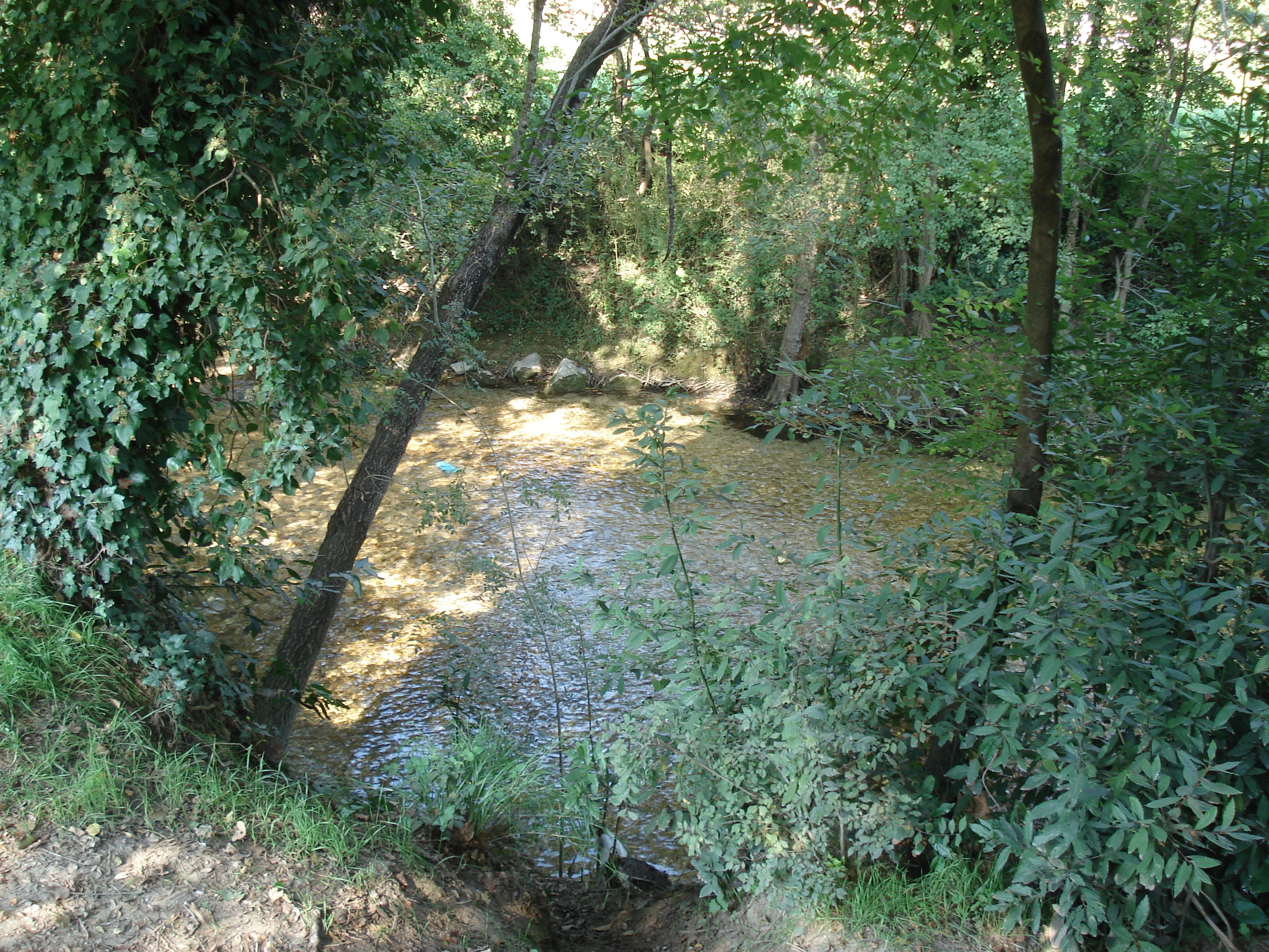 รูปถ่าย ฝรั่งเศส(France) วีลเนิฟ-ลูแบ(Villeneuve Loubet) 2006-10 28