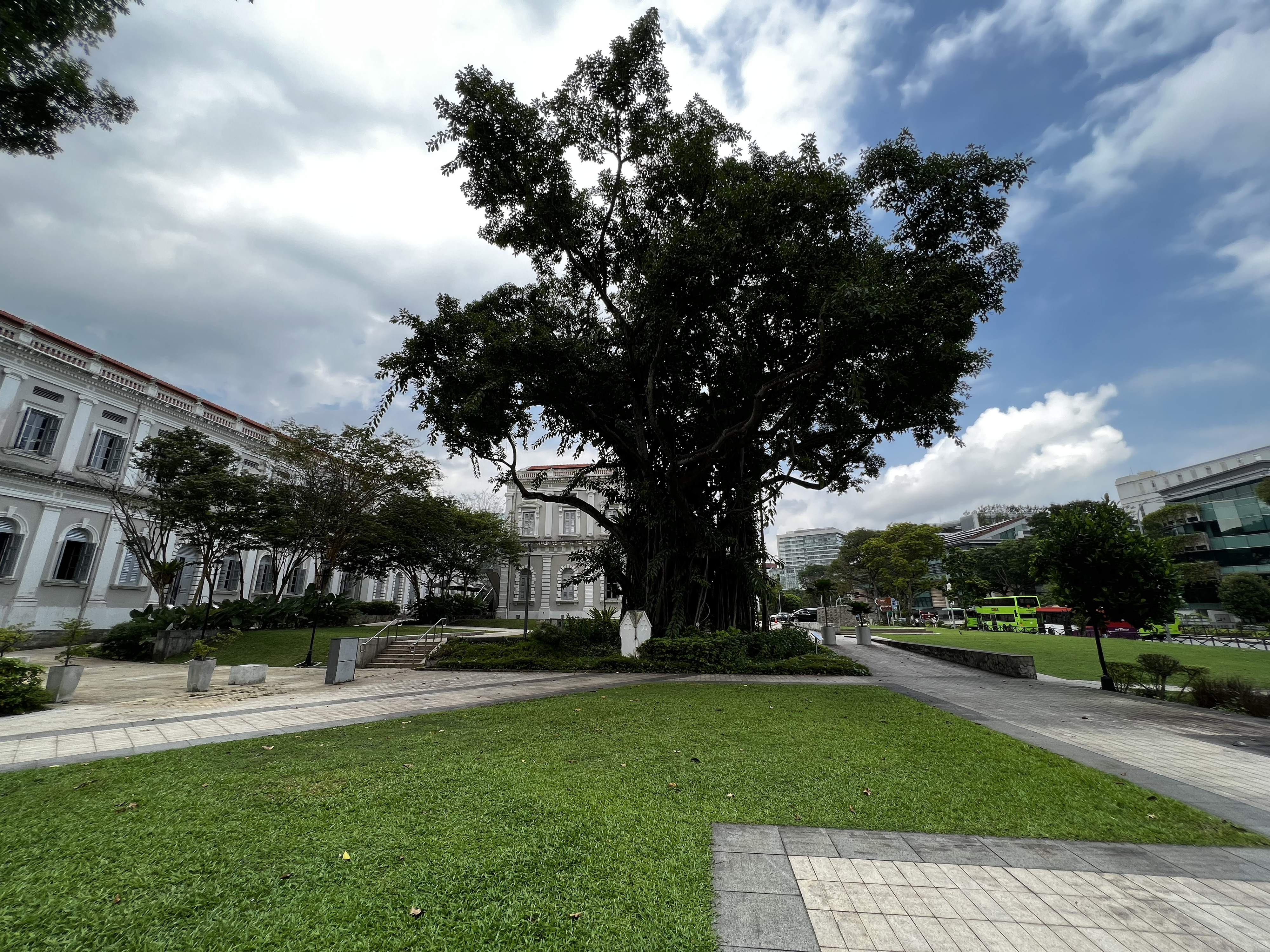 รูปถ่าย สิงคโปร์(Singapore) สวนฟอร์ตแคนนิง(Fort Canning Park) 2023-01 1