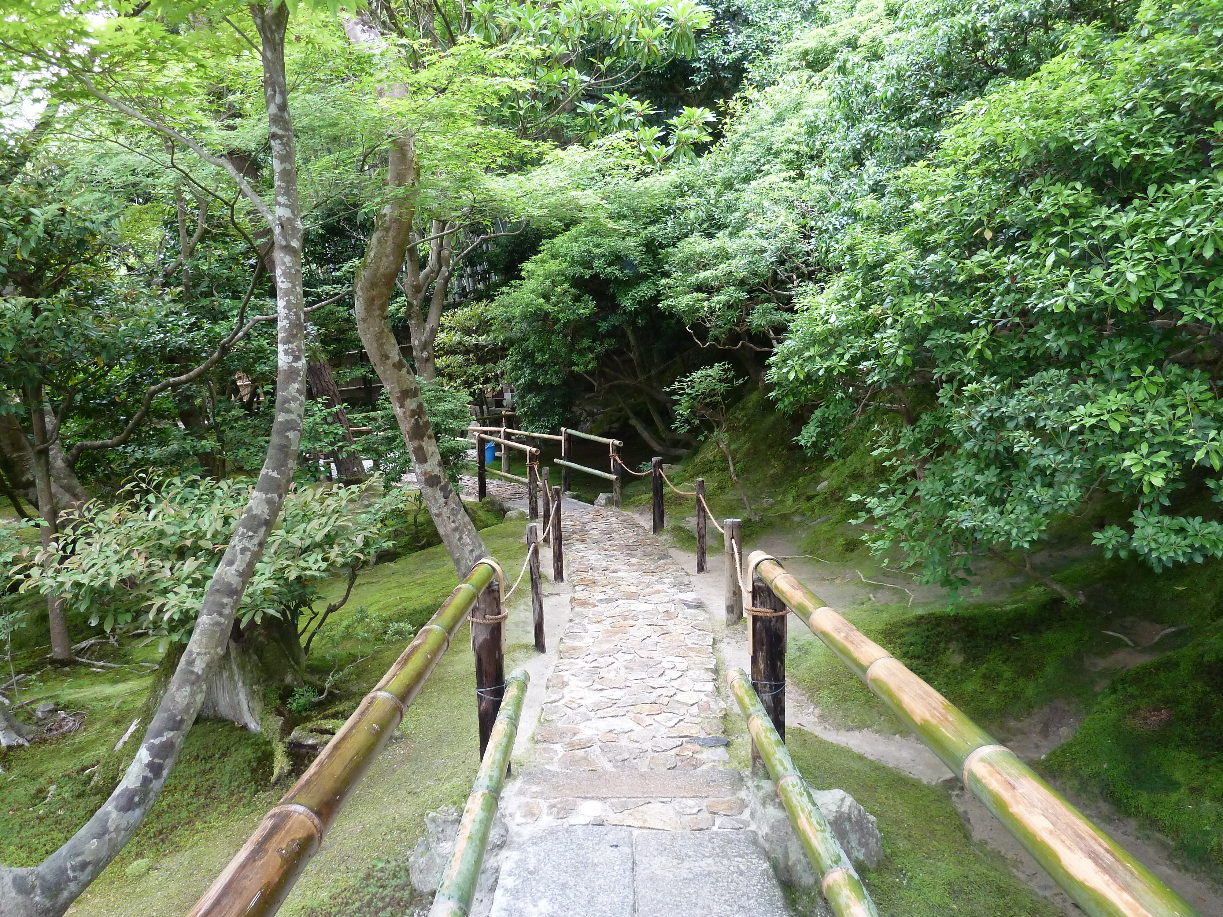 รูปถ่าย ญี่ปุ่น(Japan) เกียวโต(Kyoto) วัดกินกะกุจิ (ศาลาเงิน)(Ginkakuji Temple(Silver Pavilion)) 2010-06 41