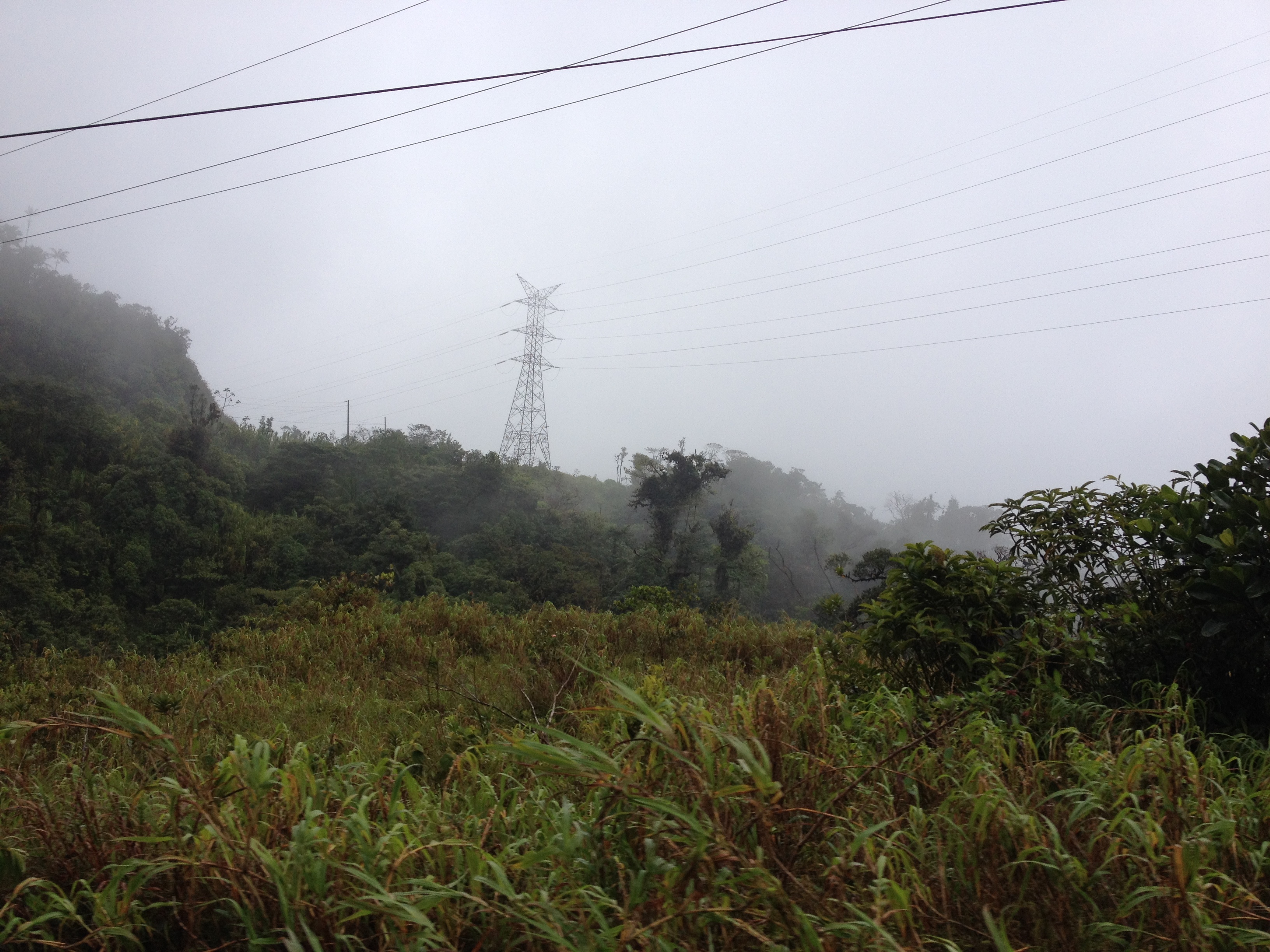 รูปถ่าย ปานามา(Panama) จากดาบิดไปโบกัสเดลโตโร(David to Bocas del toro) 2015-03 68