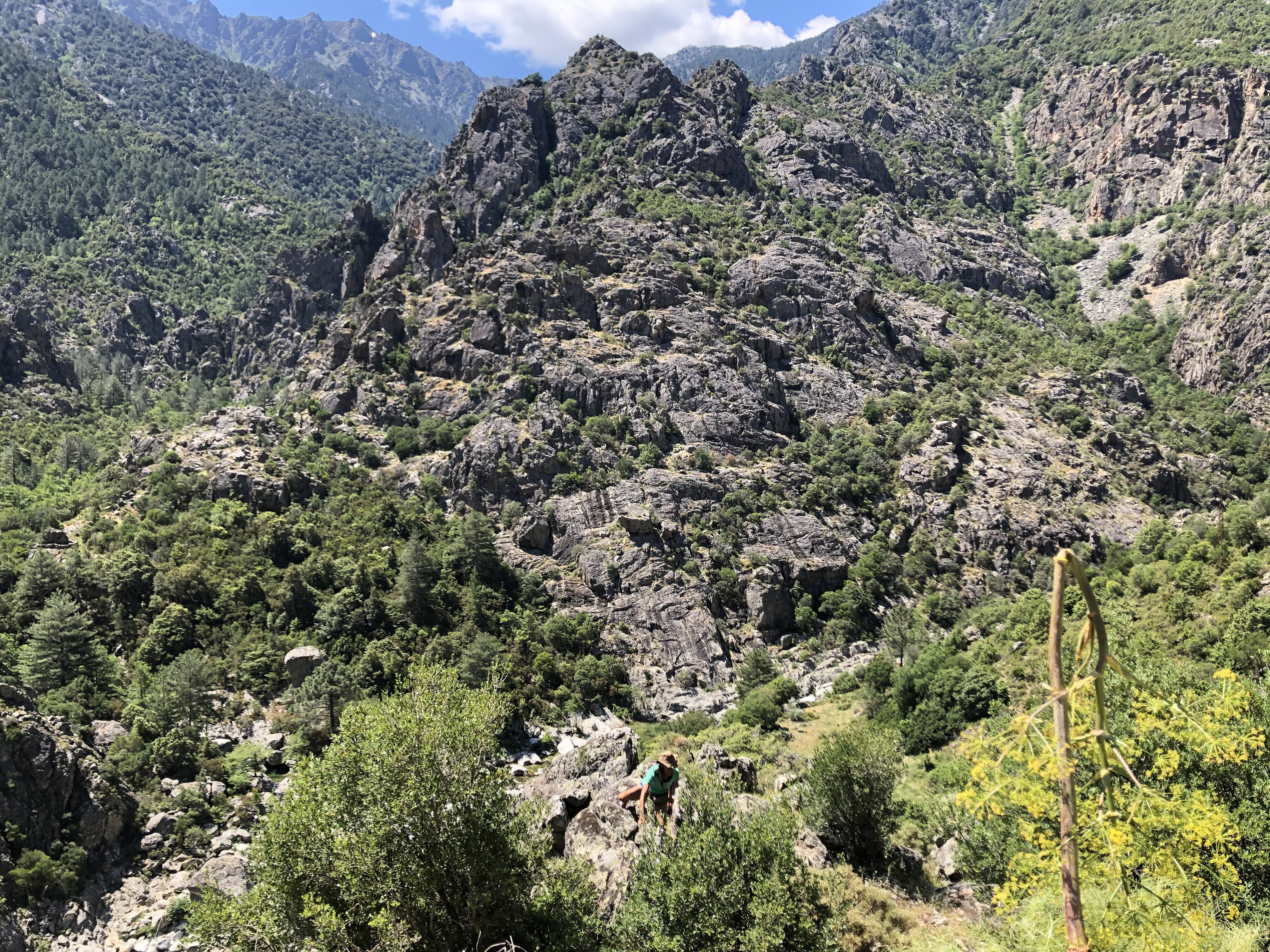 รูปถ่าย ฝรั่งเศส(France) คอร์สิคา(Corsica) ป่าไอโตเน(Aitone Forest) 2021-06 49