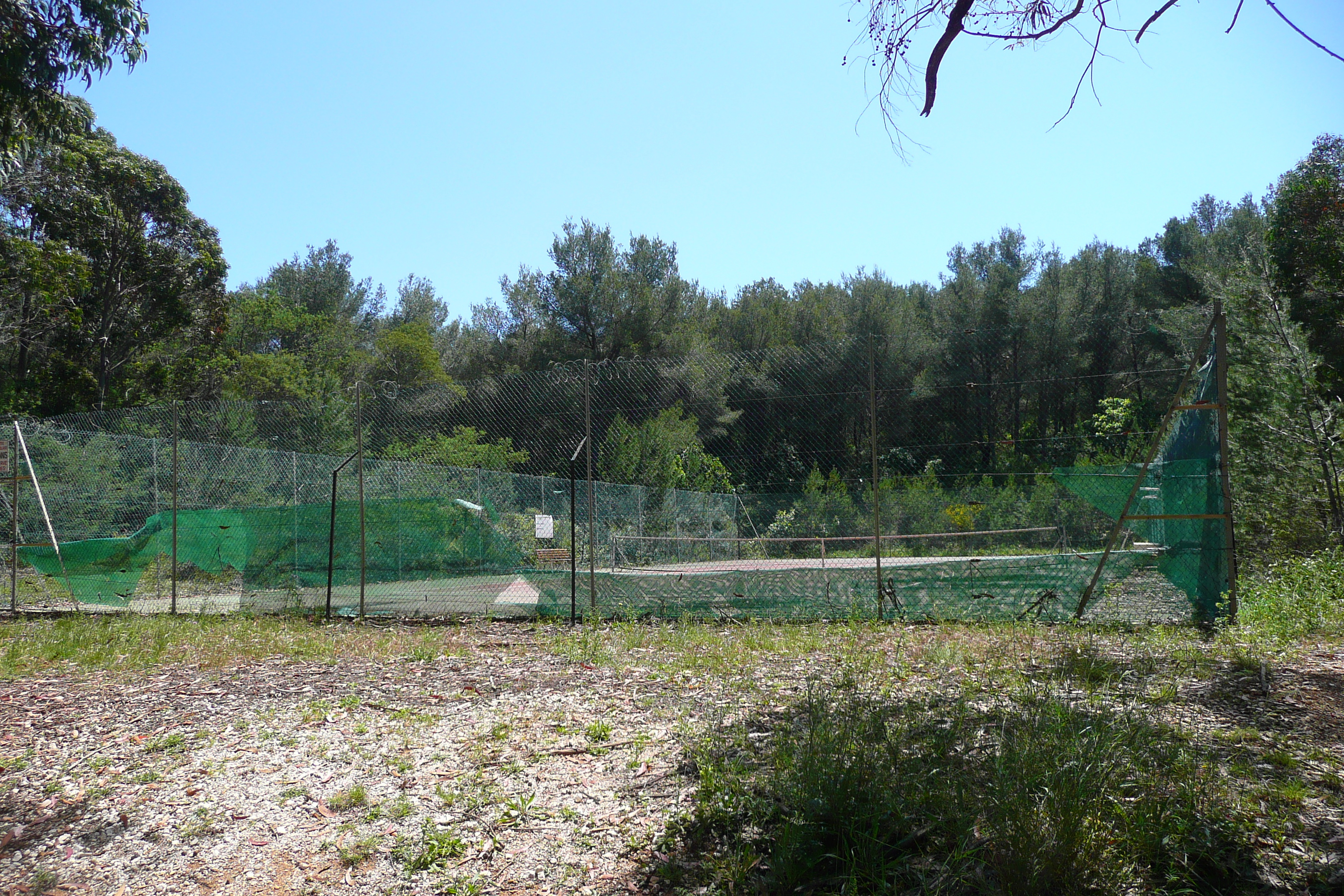 รูปถ่าย ฝรั่งเศส(France) เกาะปอร์เกอรอล(Porquerolles Island) ที่ราบกูร์ตาด(Plaine de la courtade) 2008-05 35