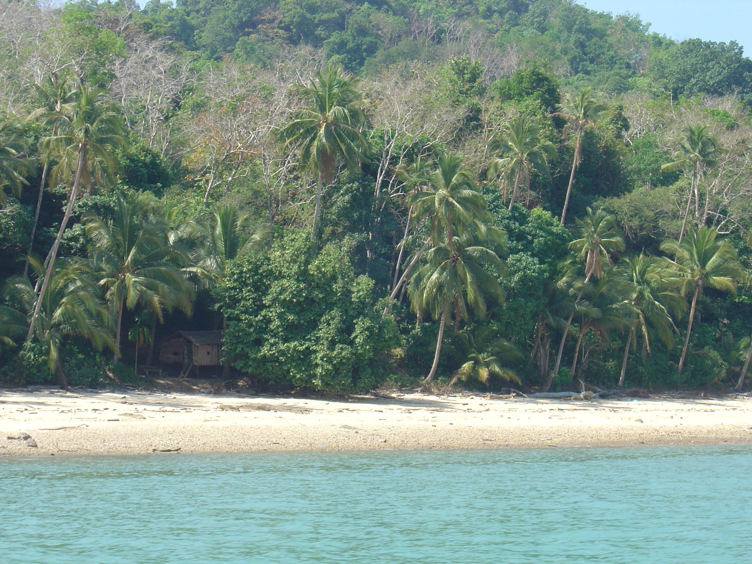 รูปถ่าย พม่า(Myanmar) มะริด(Myeik (Mergui)) 2005-01 66