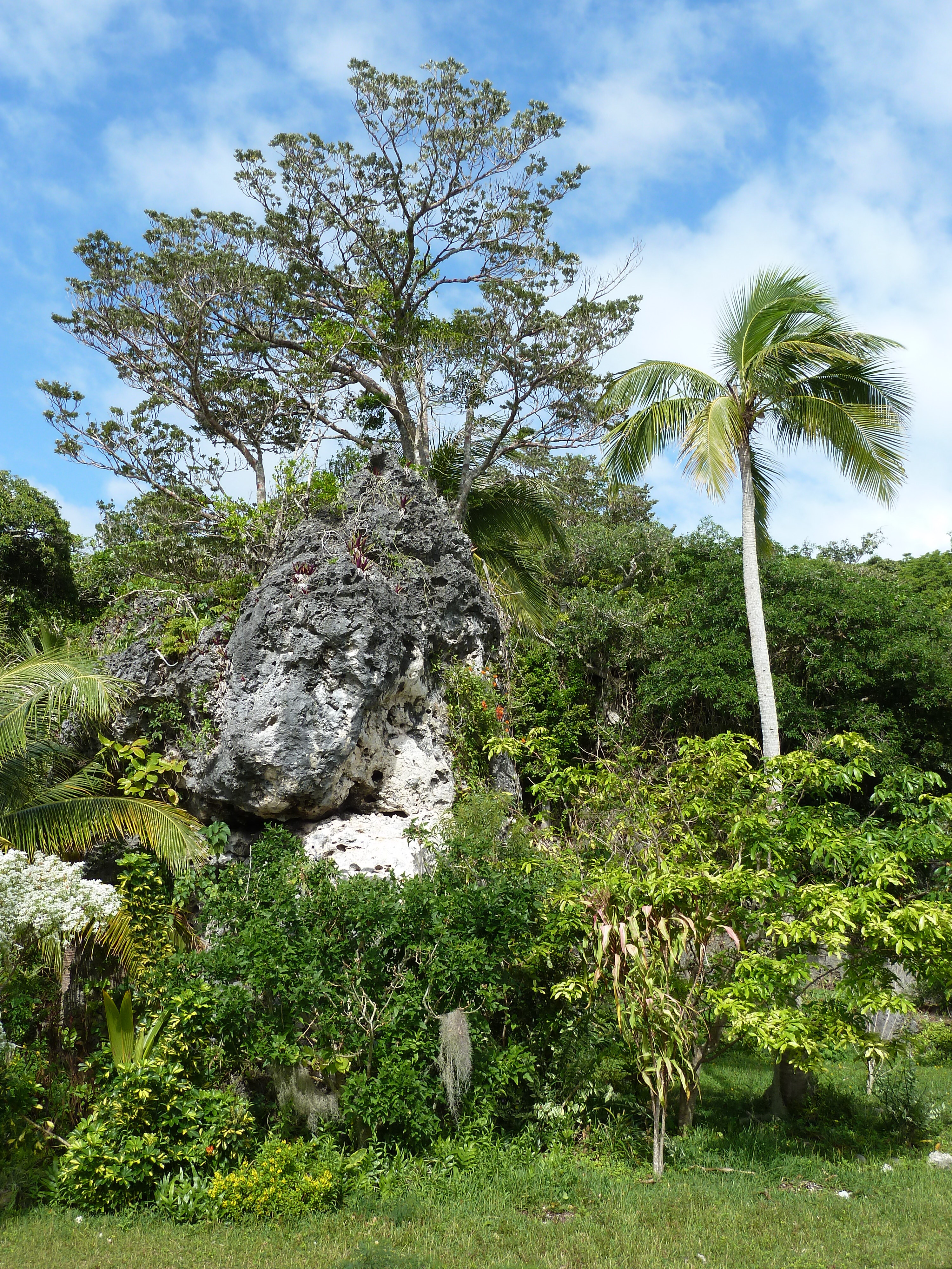 รูปถ่าย นิวแคลิโดเนีย(New Caledonia) เกาะลีฟู(Lifou) โยซิป(Josip) 2010-05 18
