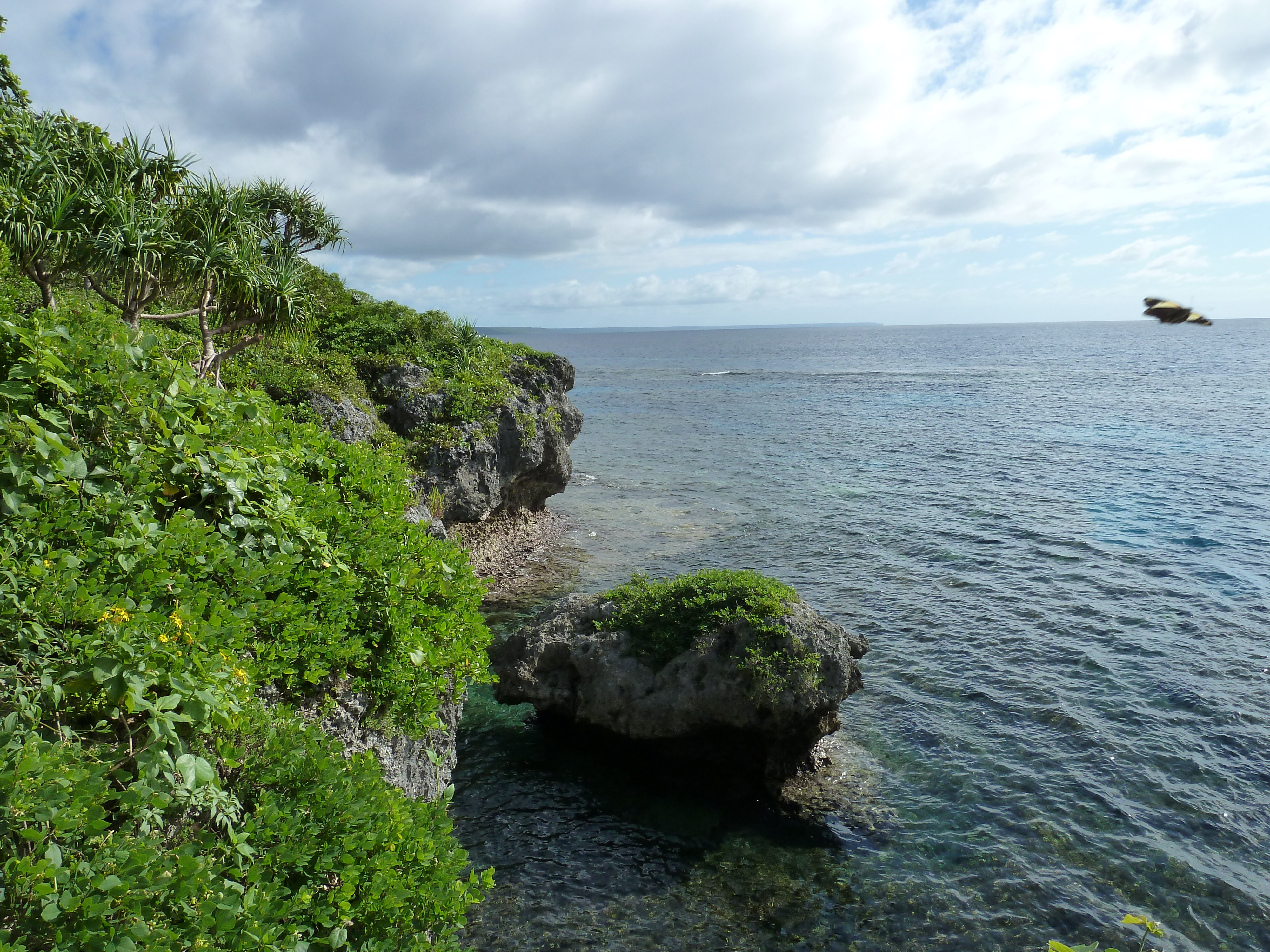 รูปถ่าย นิวแคลิโดเนีย(New Caledonia) เกาะลีฟู(Lifou) โยซิป(Josip) 2010-05 28